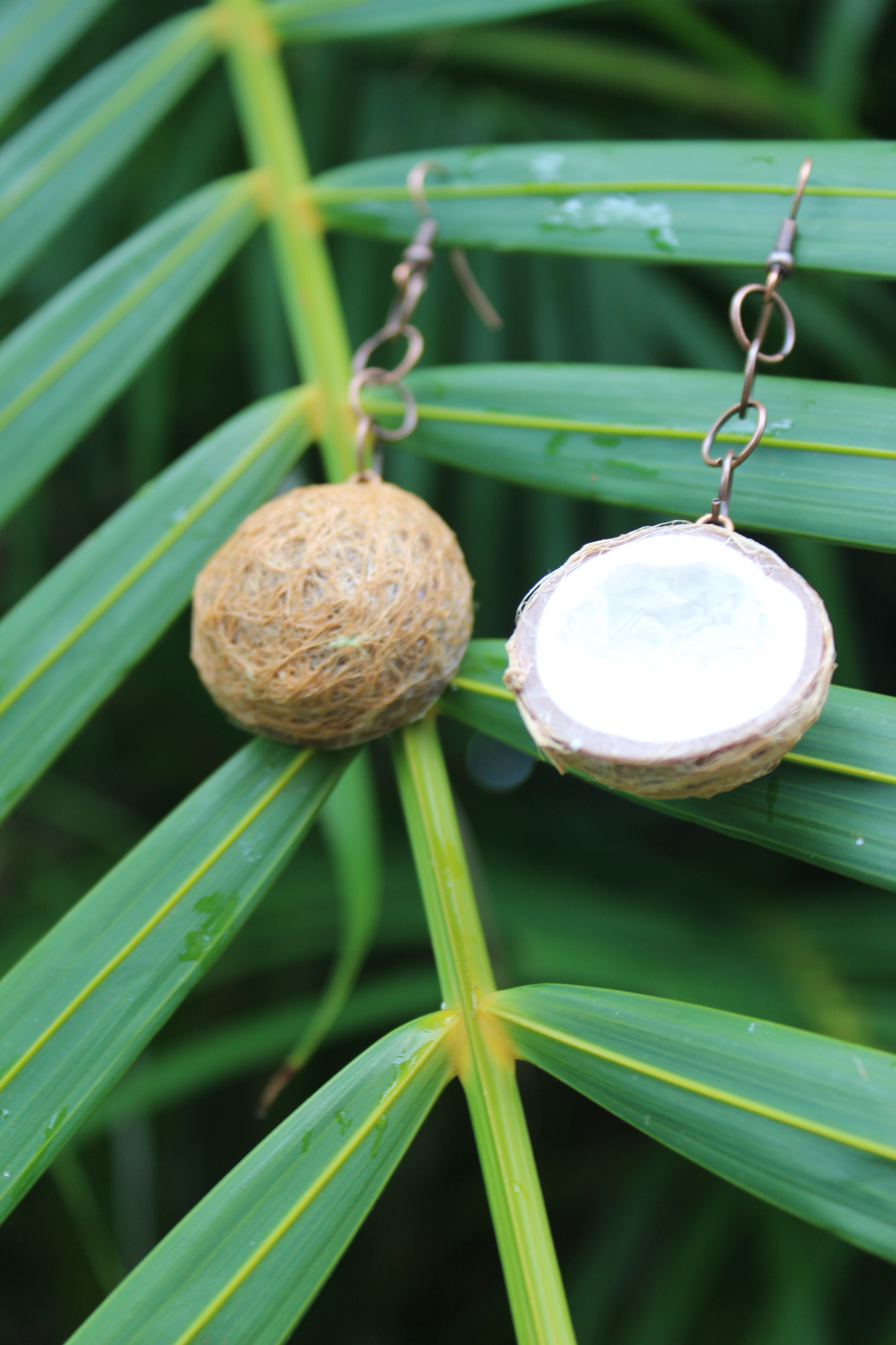 Coconuts