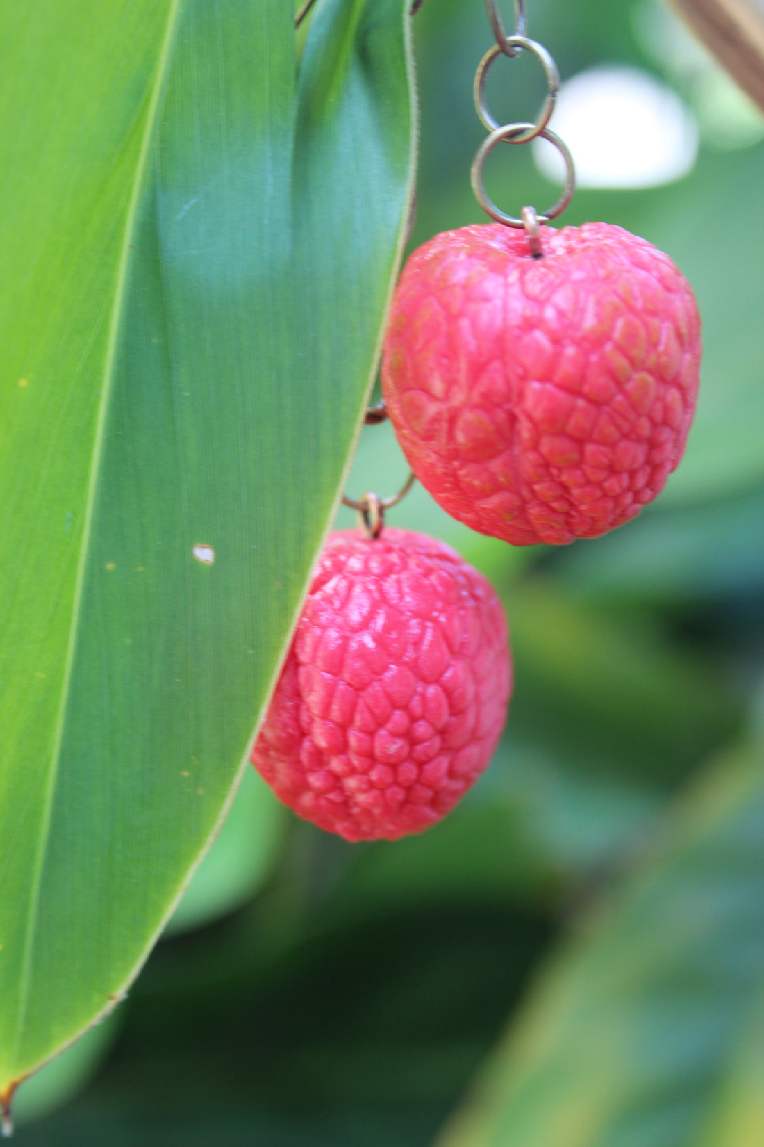 Lychee Love Earrings
