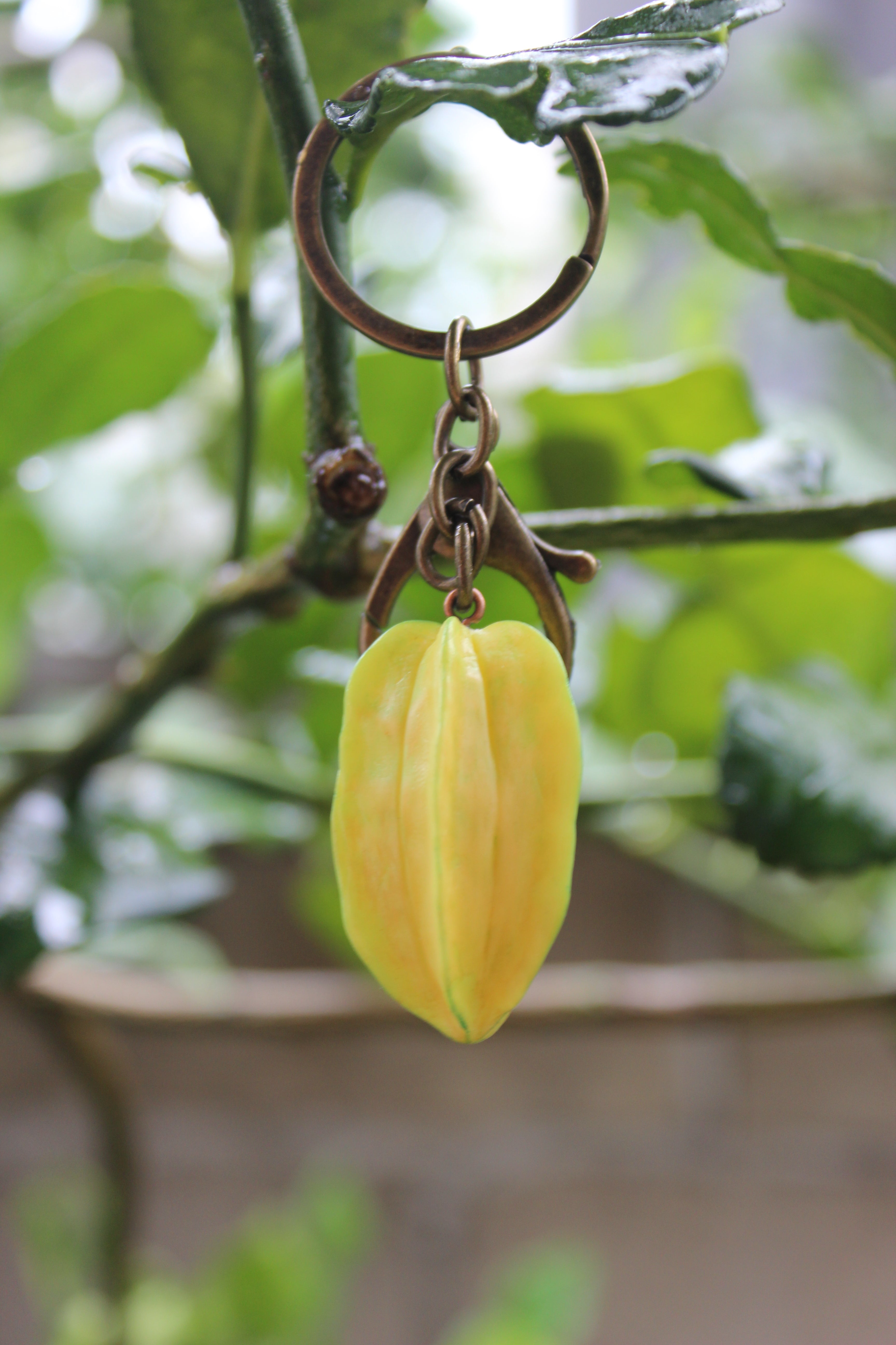 Starfruit Brass Keychain