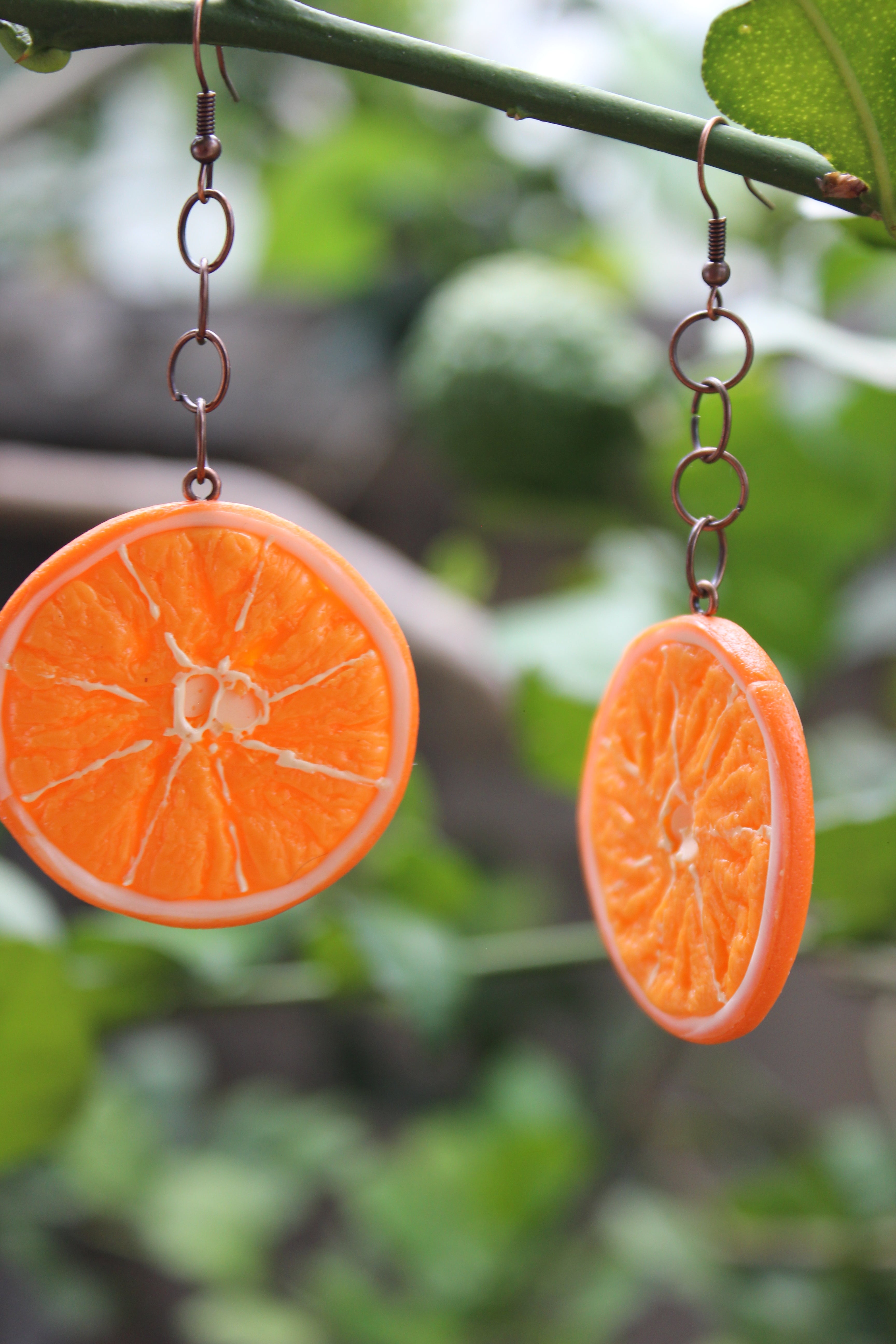 Citrus Hoops