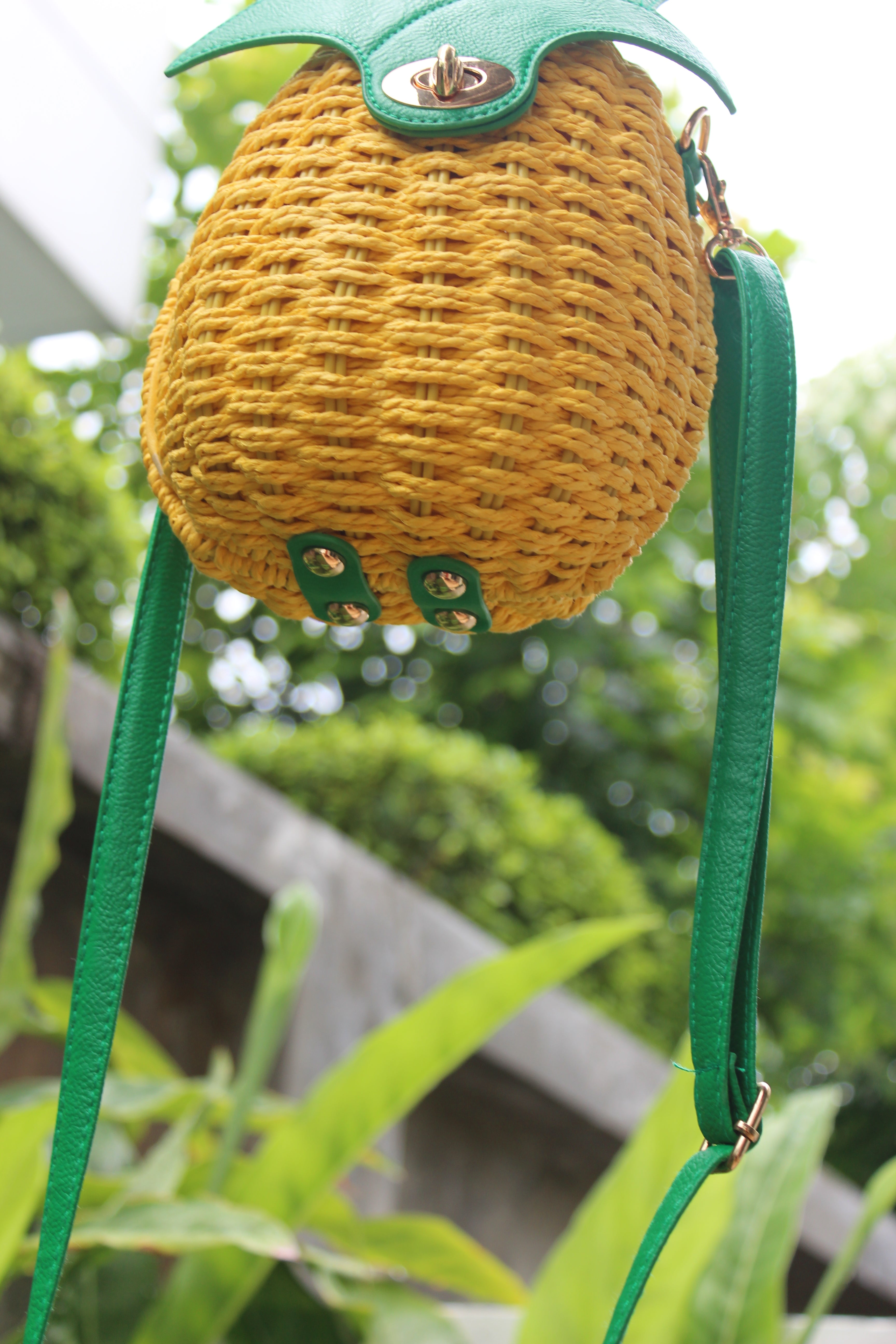 Pineapple bag