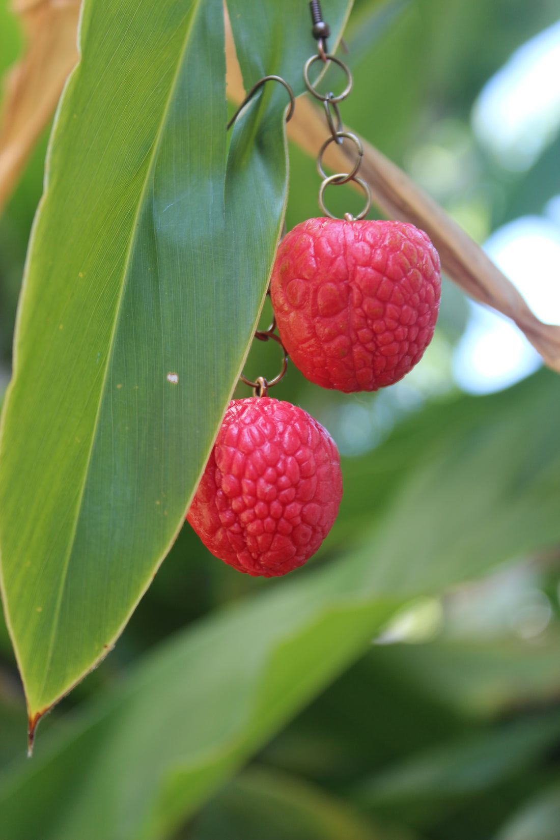 Lychee Love Earrings