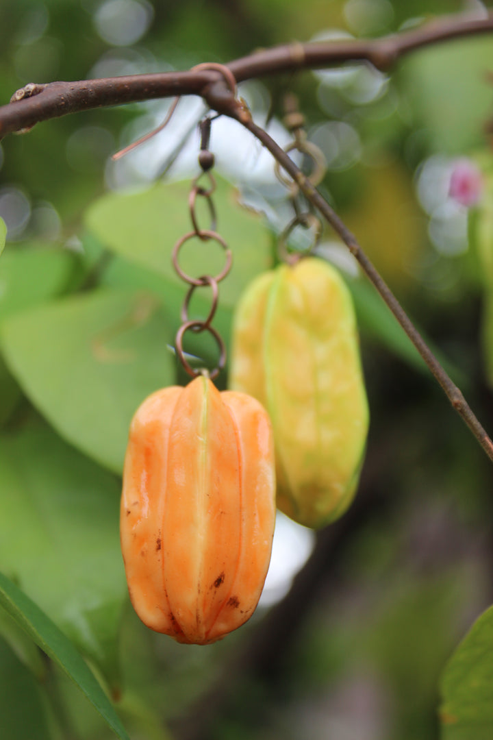 Starfruit