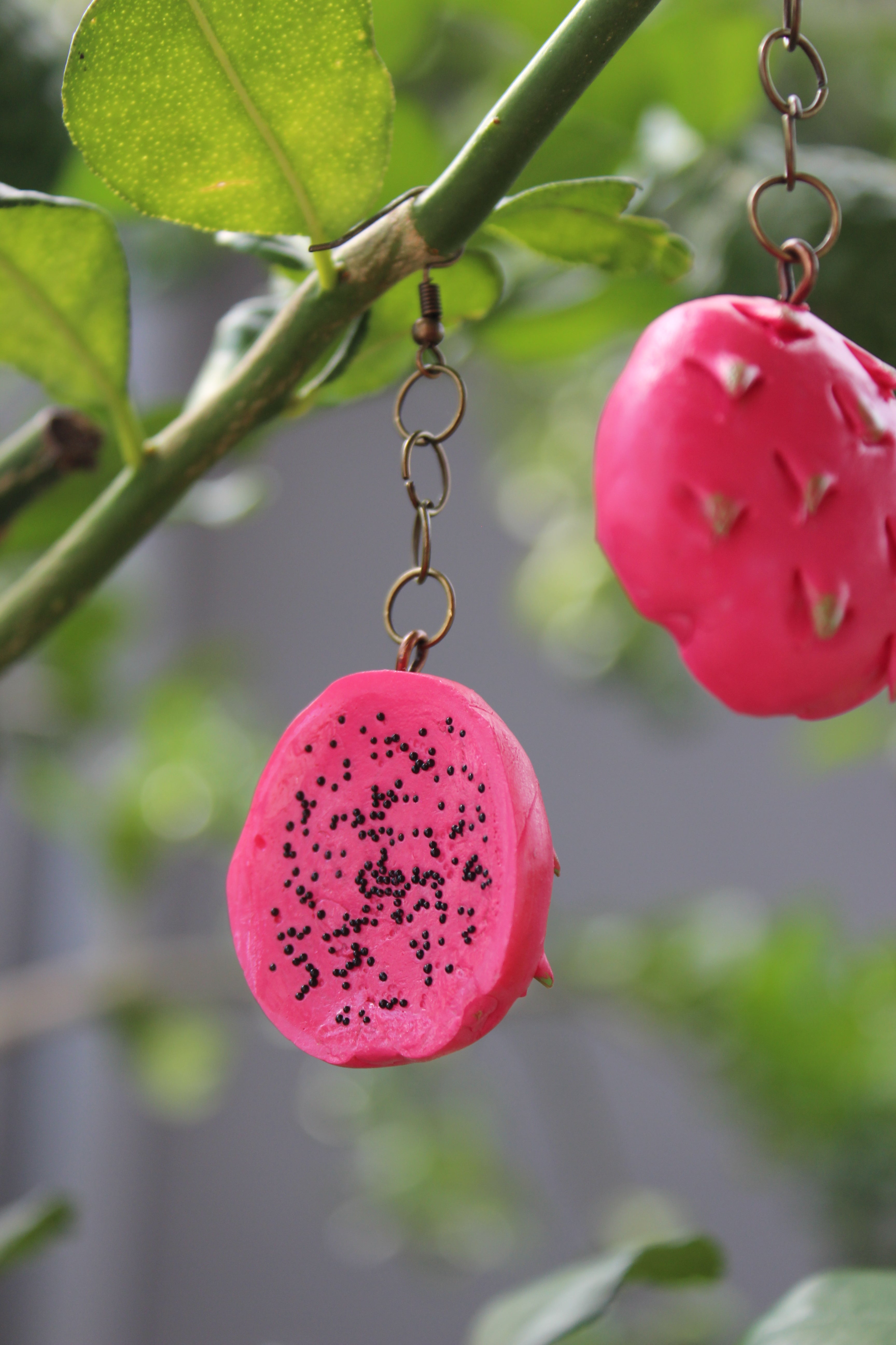 Pink Dragon Fruit Slice