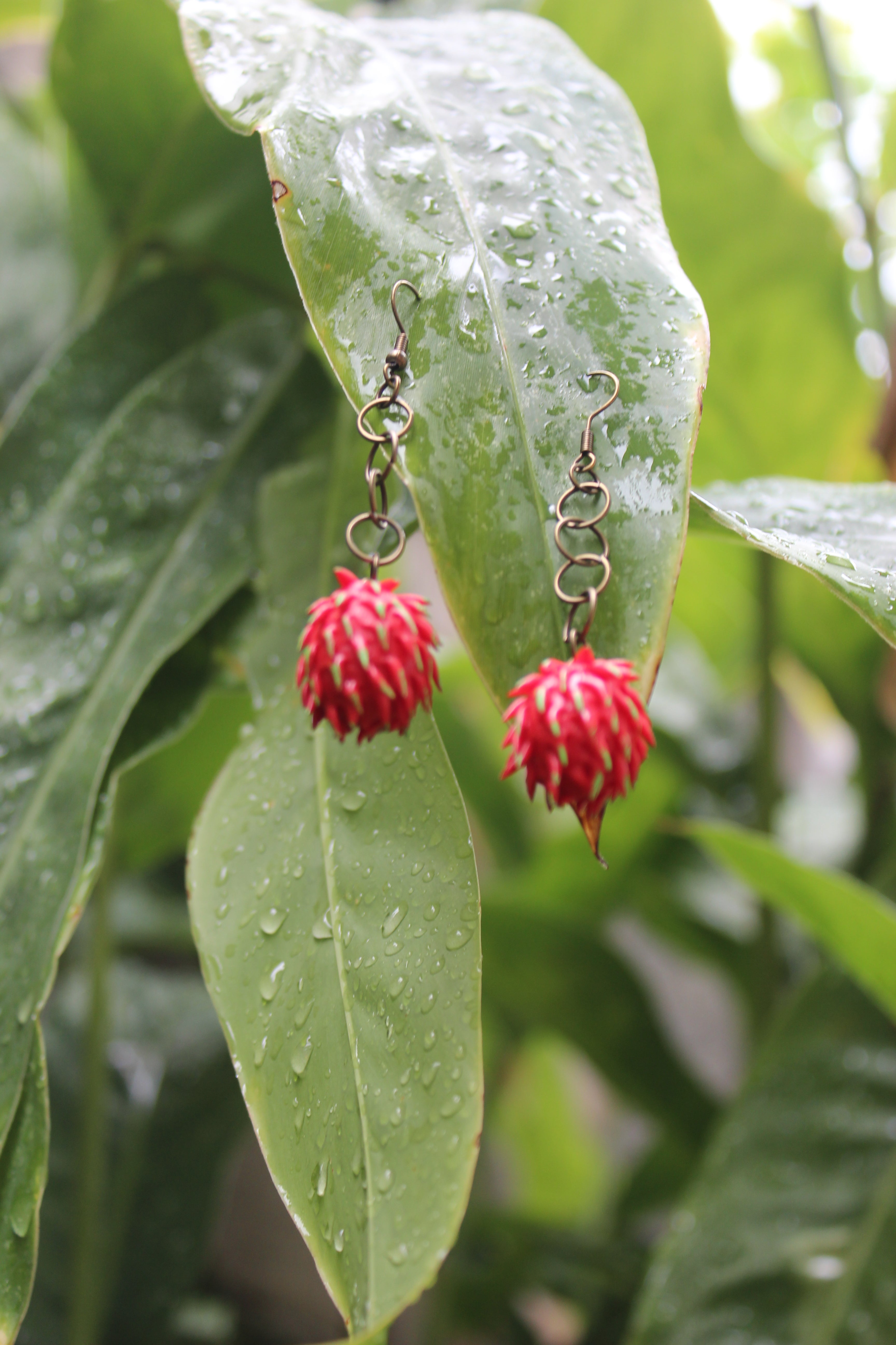 Rambutan Earrings