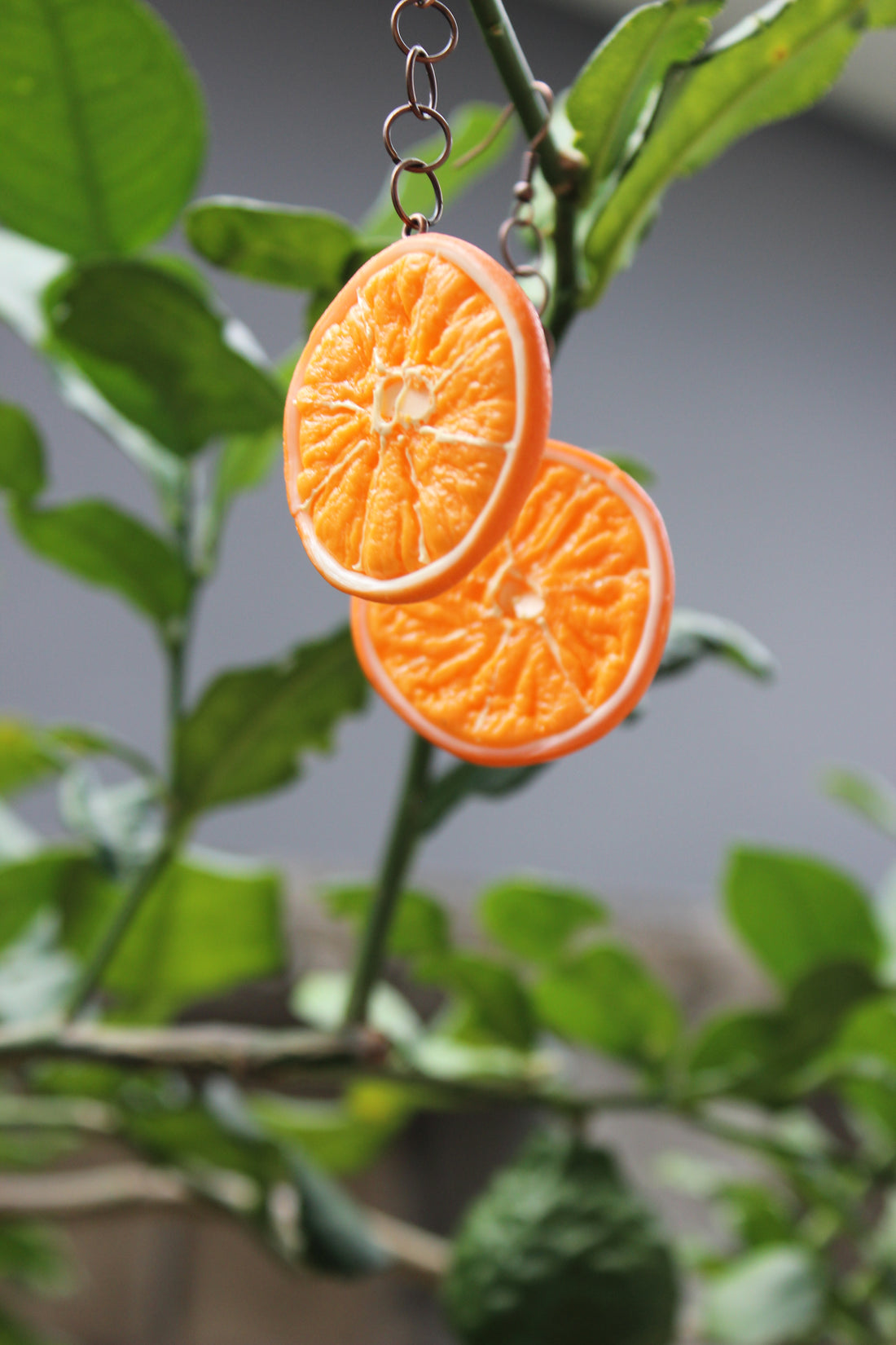 Citrus Hoops