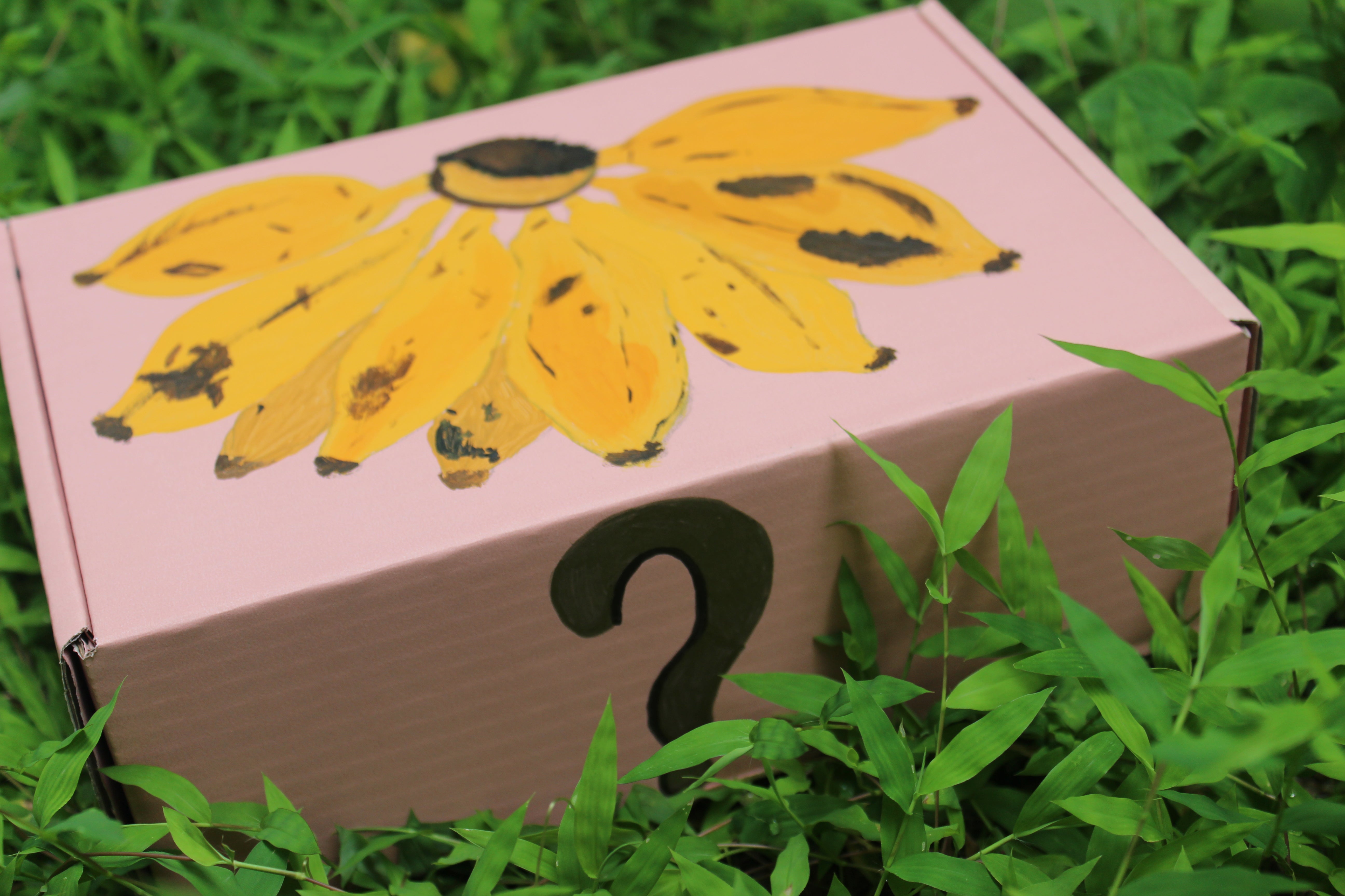 Fruit Mystery Box!?