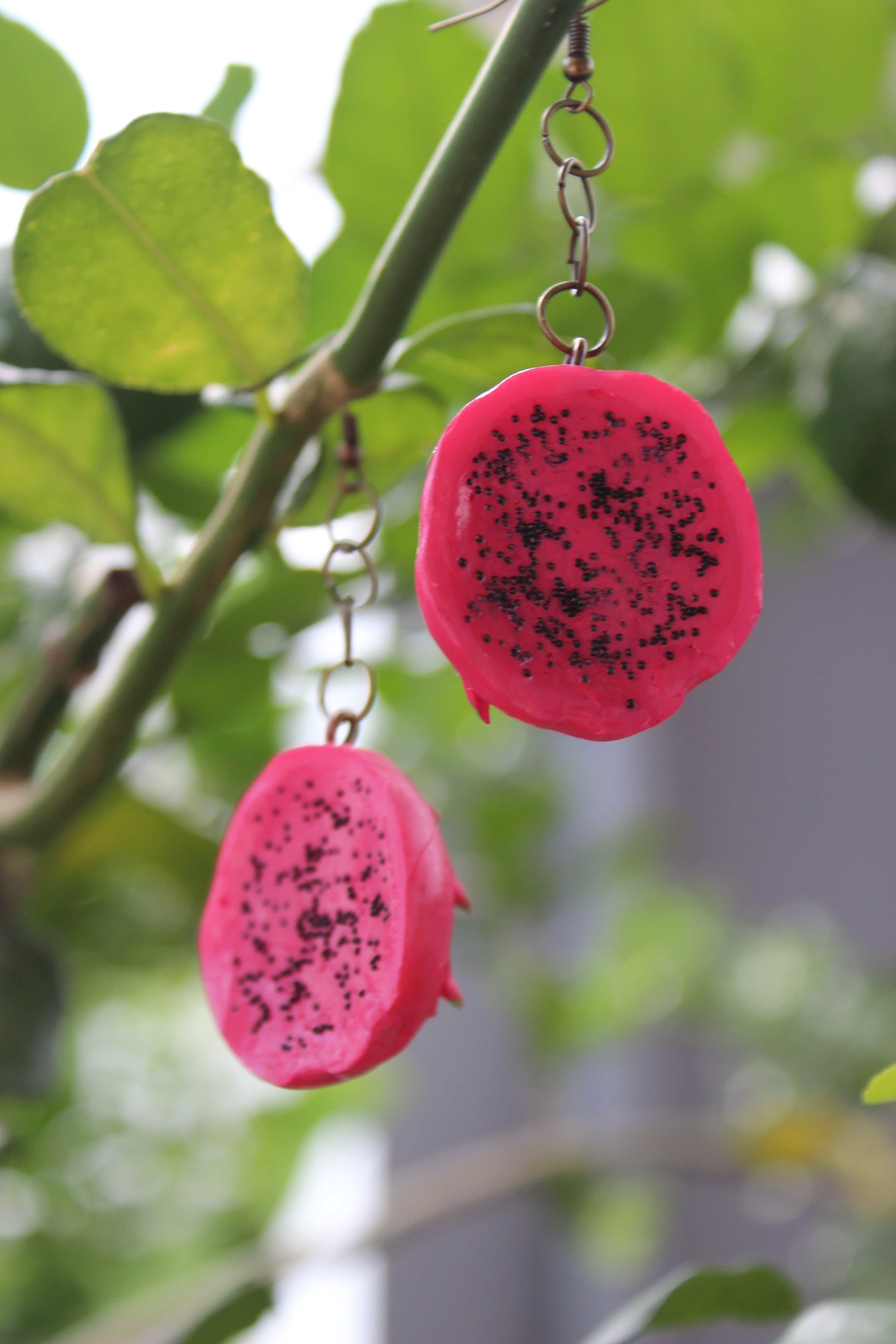 Pink Dragon Fruit Slice