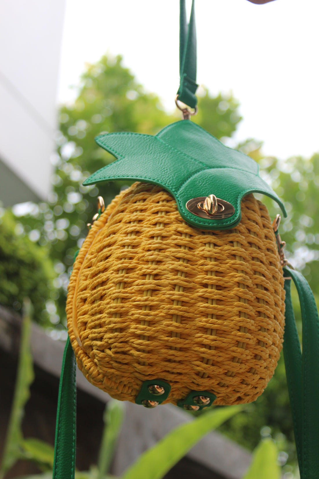 Pineapple bag
