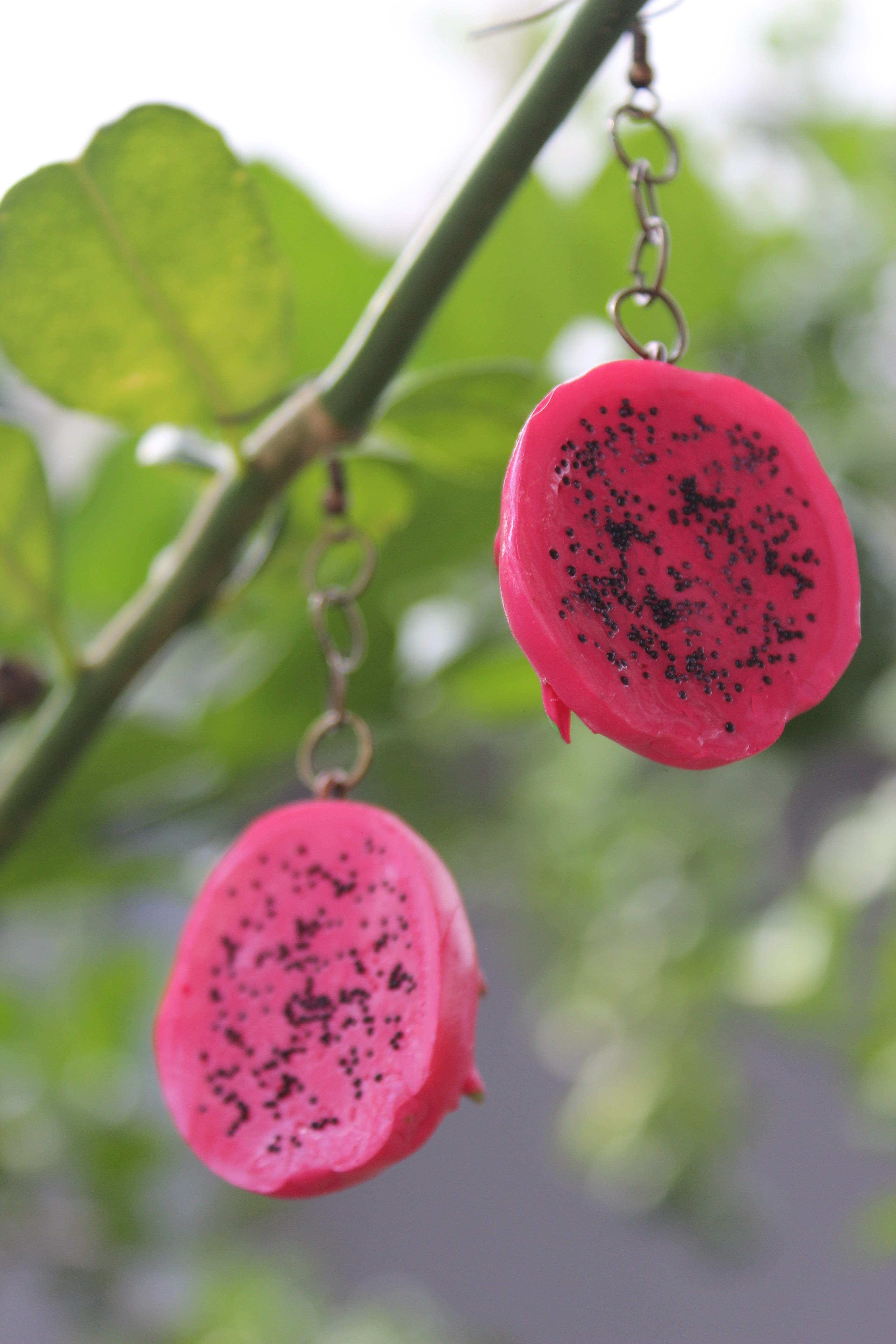 Pink Dragon Fruit Slice