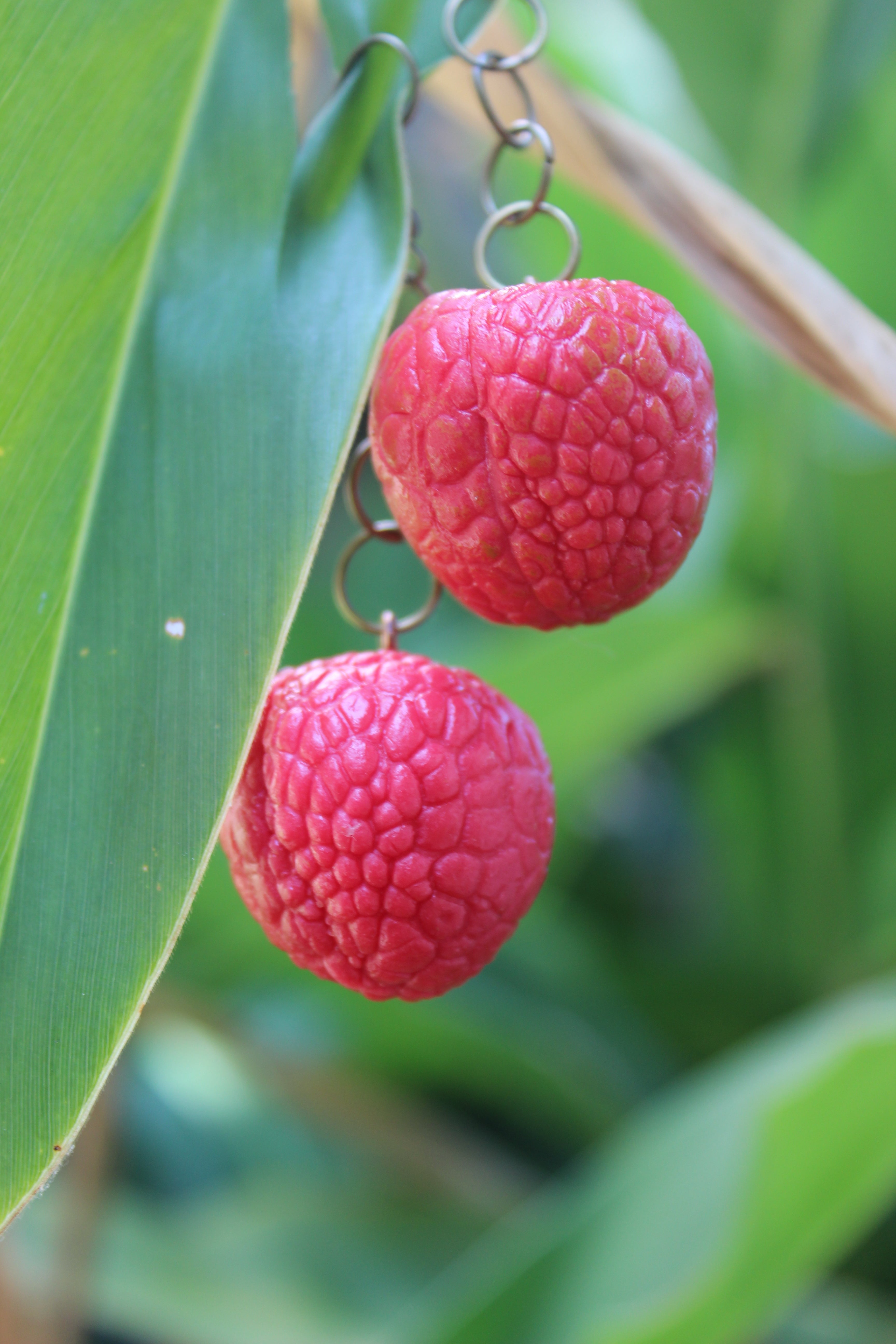 Lychee Love Earrings