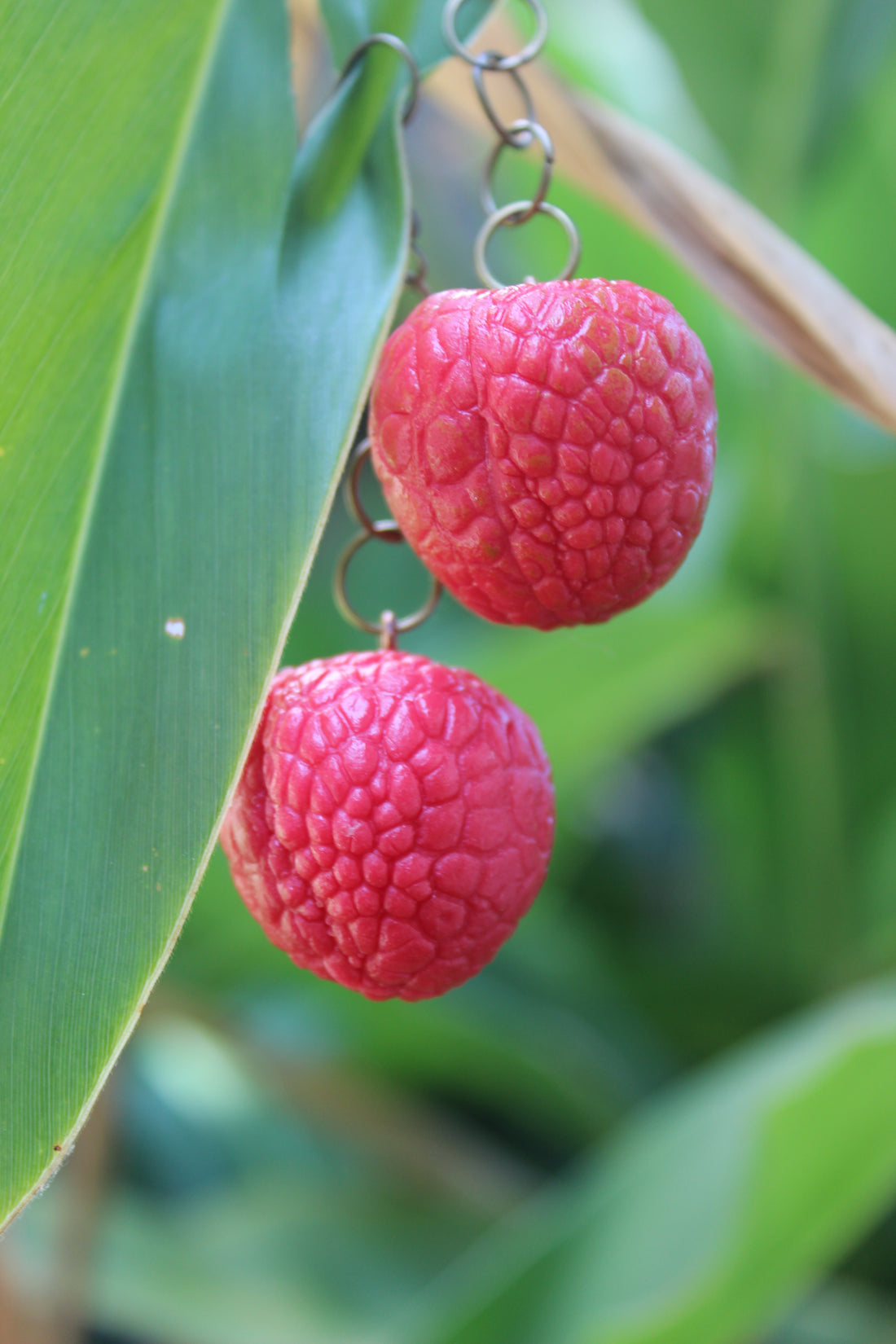 Lychee Love Earrings