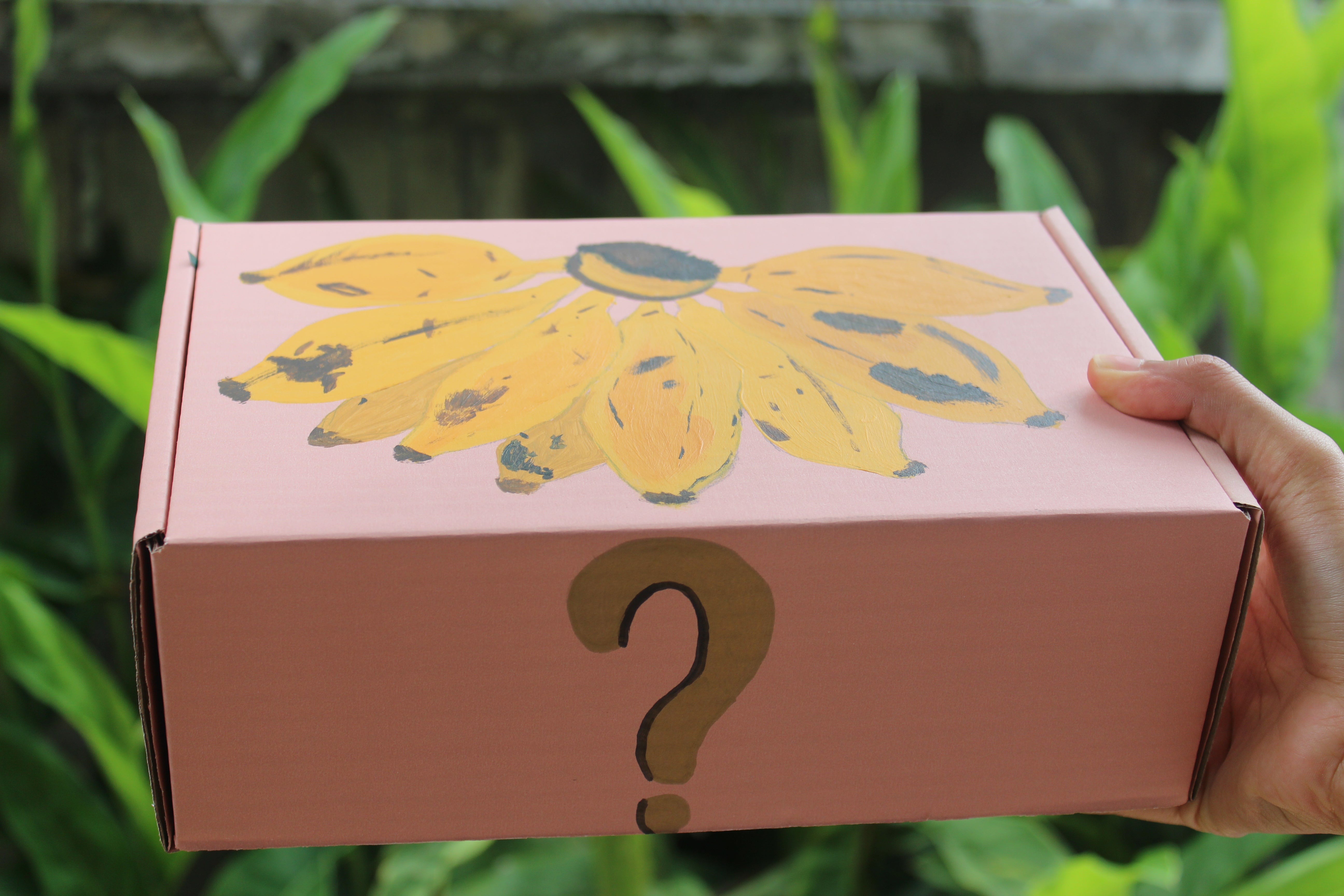 Fruit Mystery Box!?