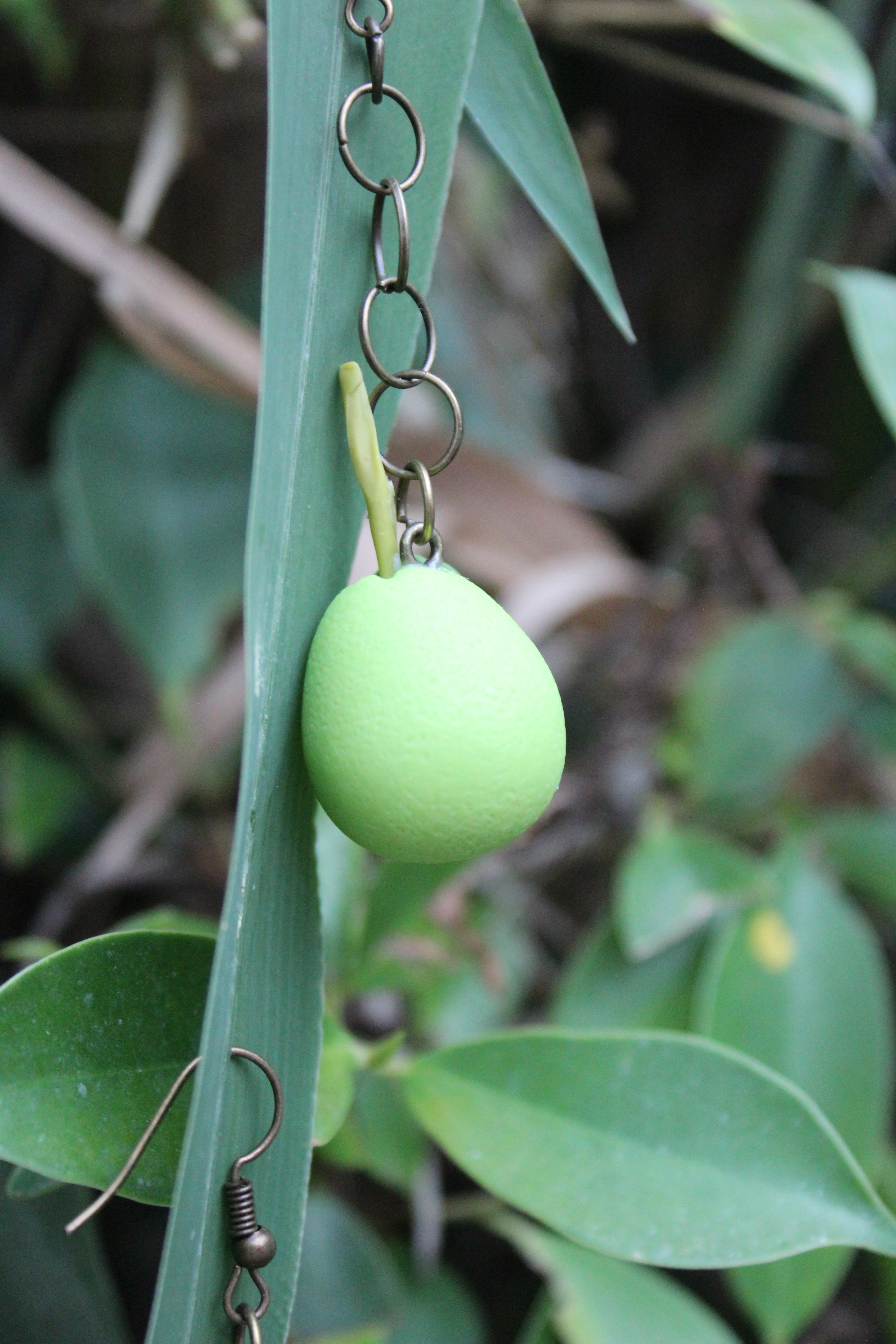 Guava Earrings
