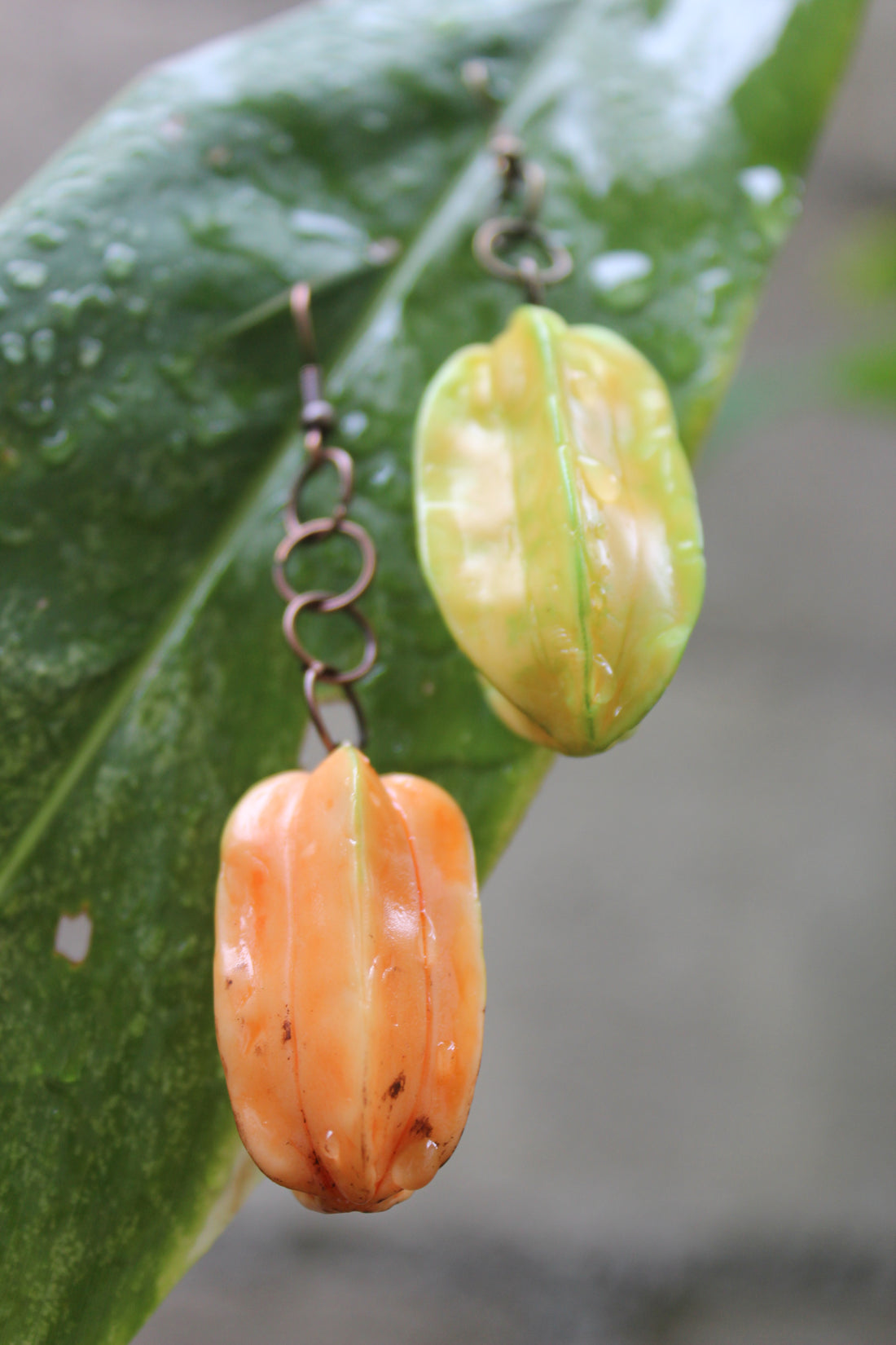 Starfruit