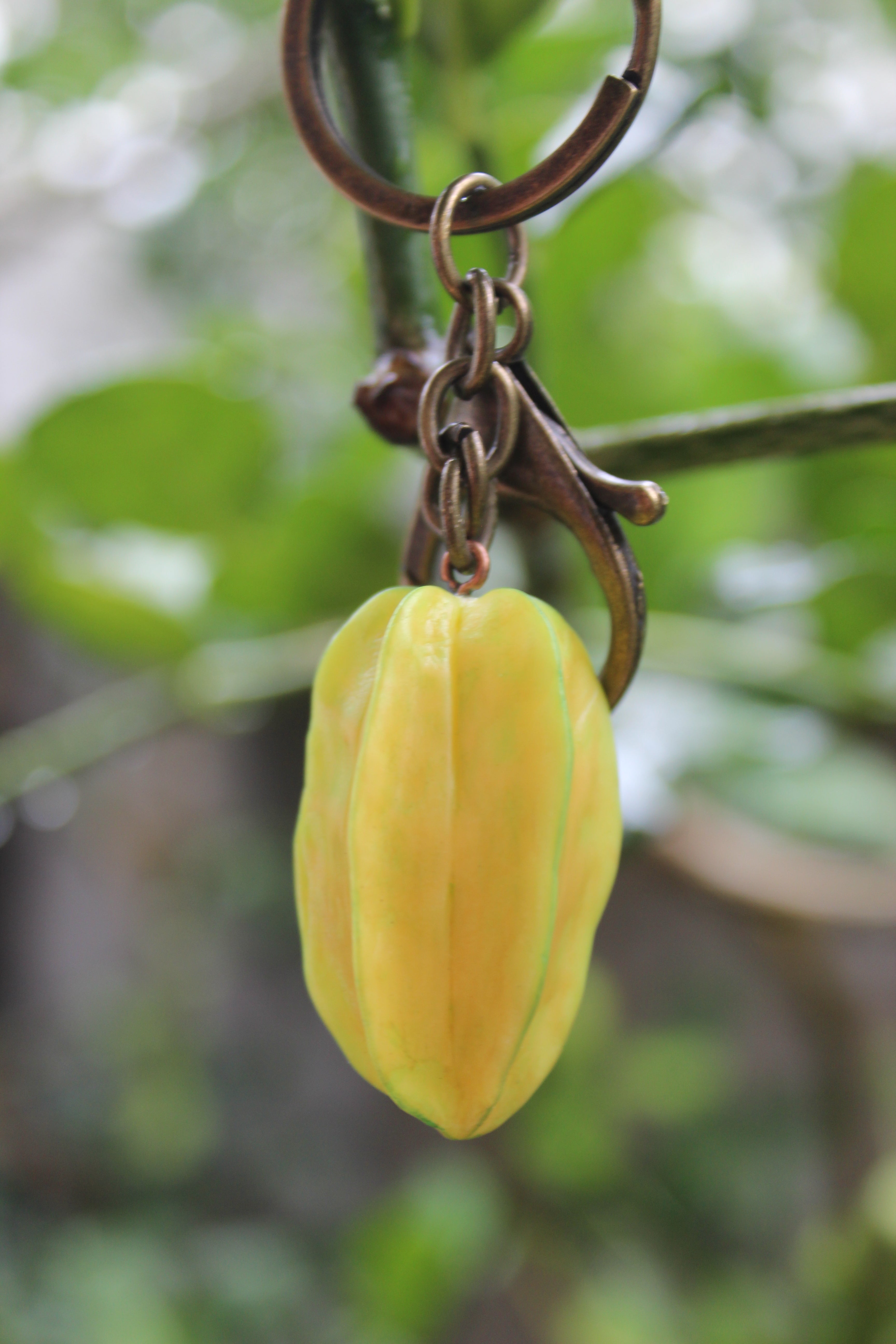 Starfruit Brass Keychain