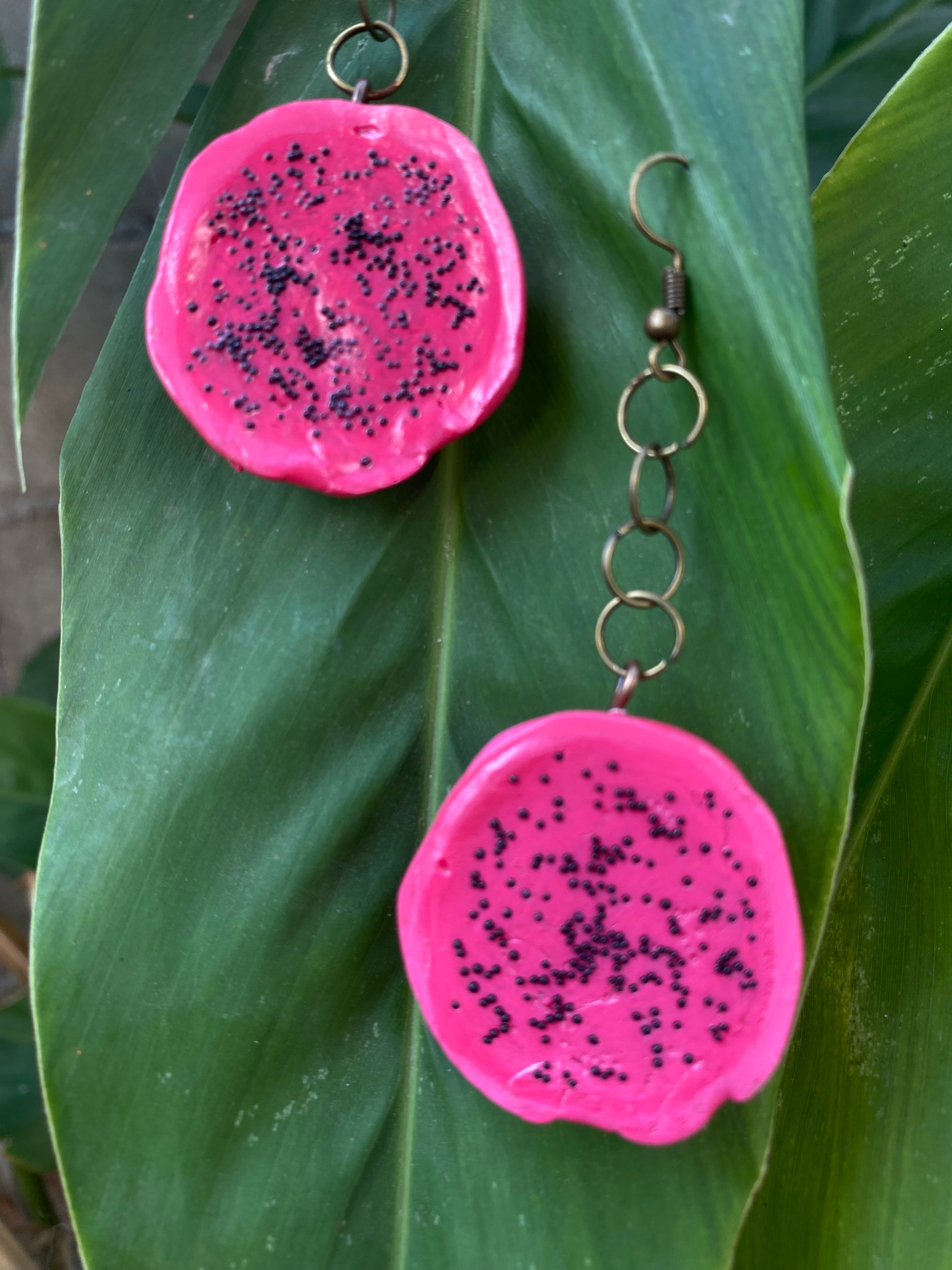 Pink Dragon Fruit Slice