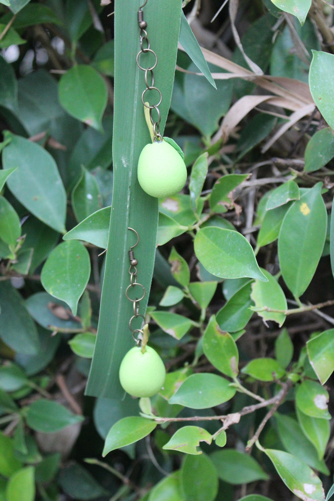 Guava Earrings