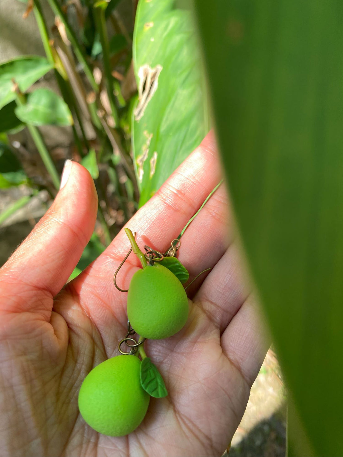 Guava Earrings