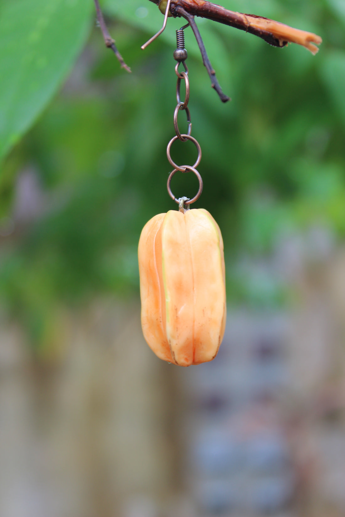 Starfruit