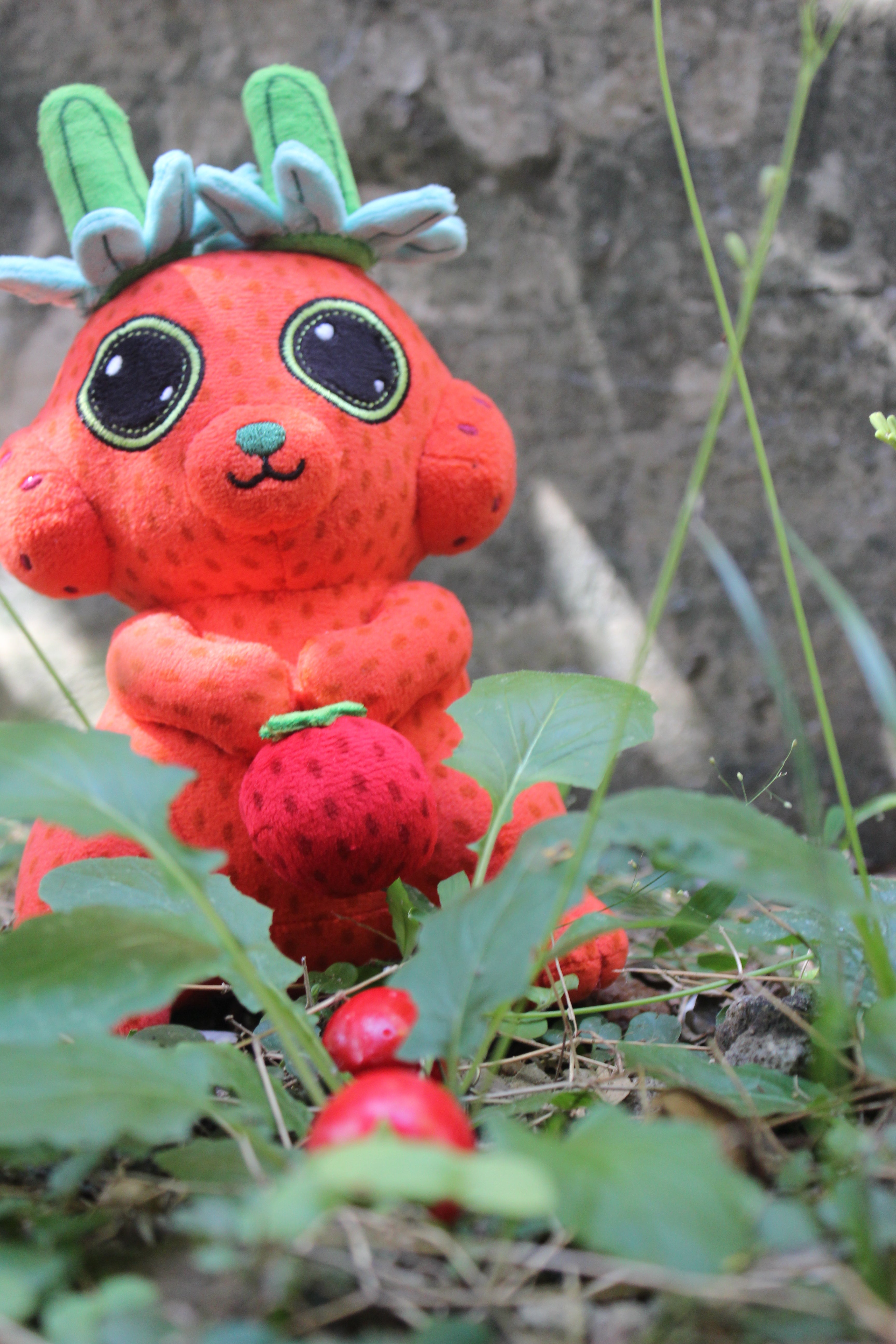 Flower the Strawbunny (pre order)