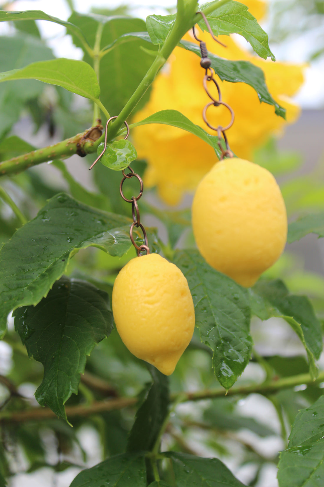 Lemon Drop