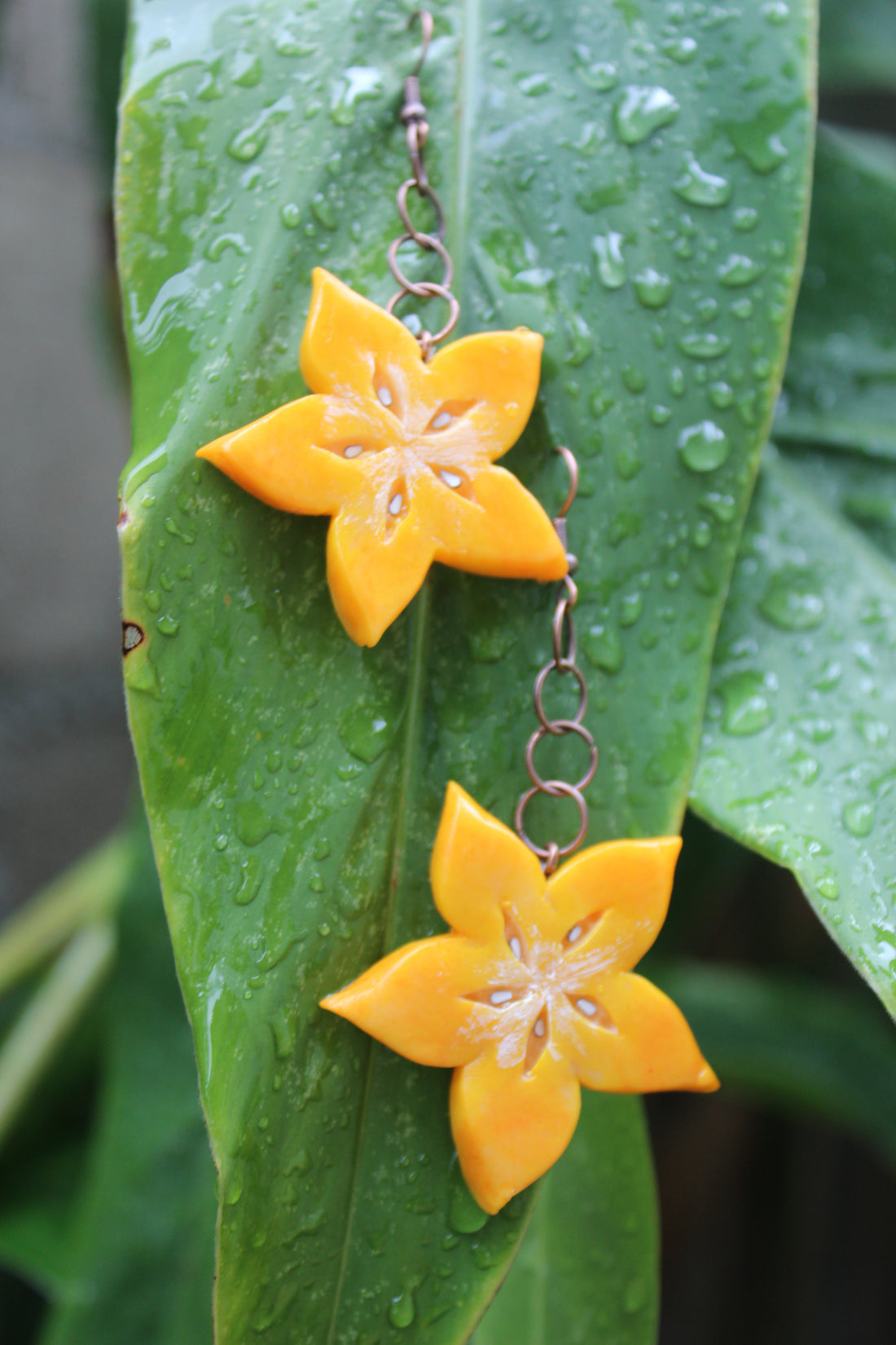 Starfruit Slice