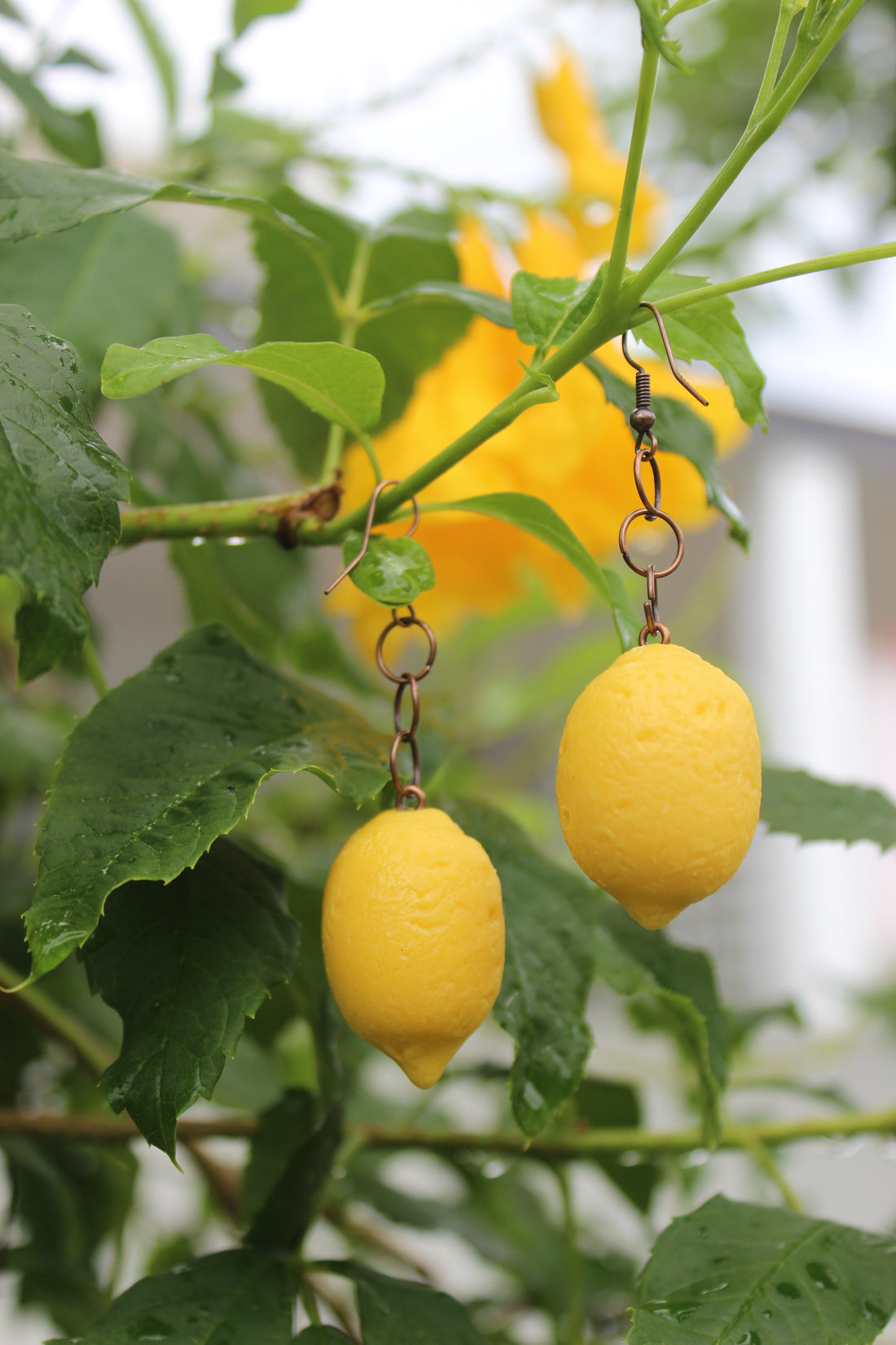 Lemon Drop