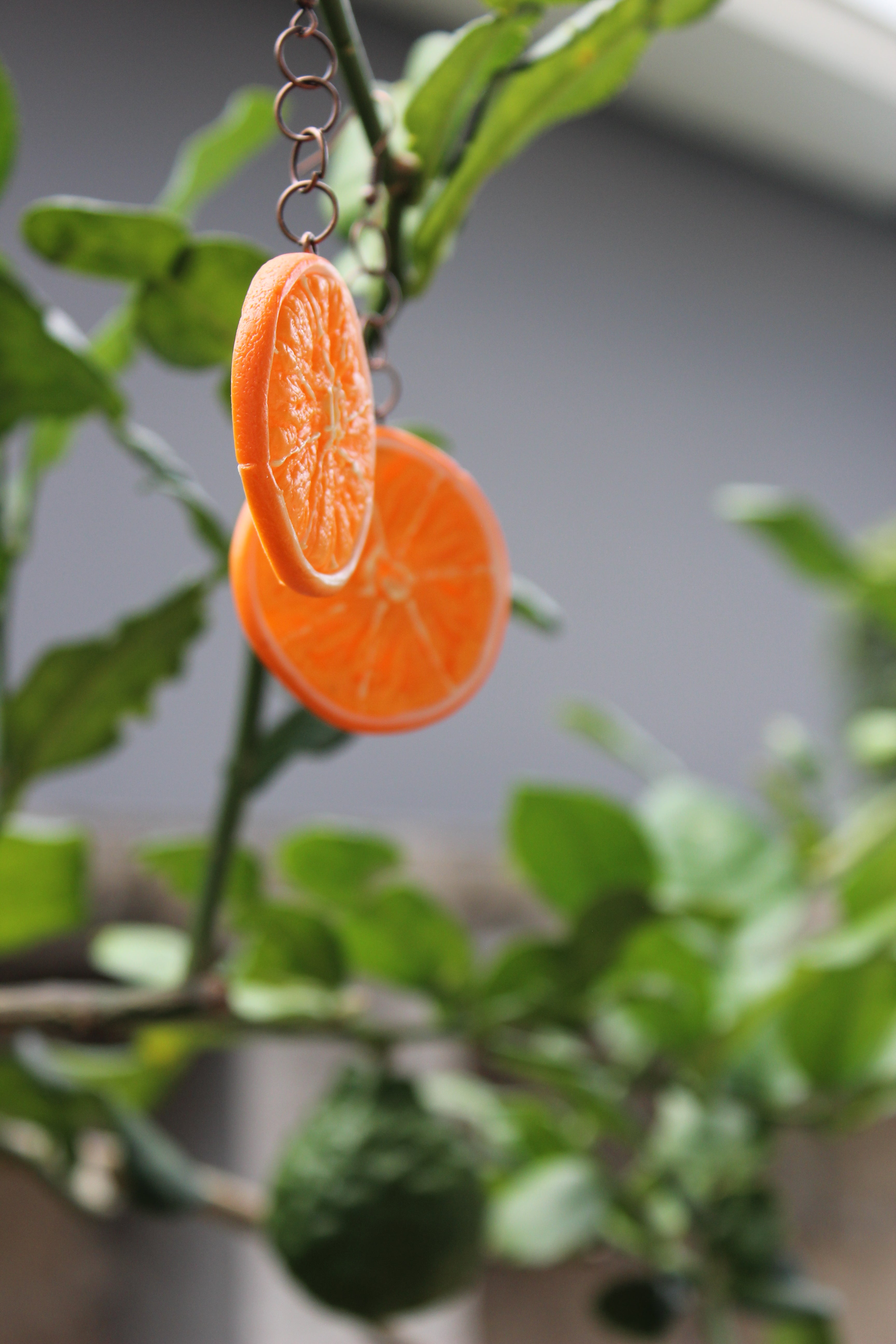 Citrus Hoops