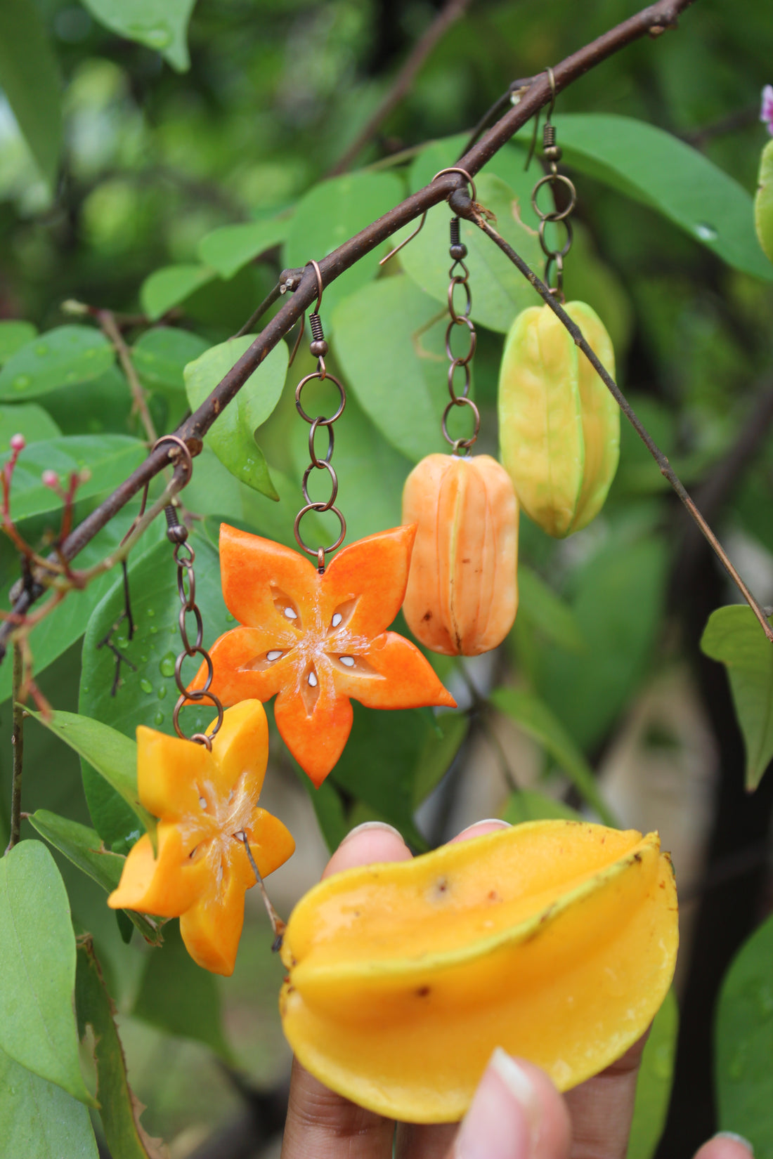 Starfruit Slice