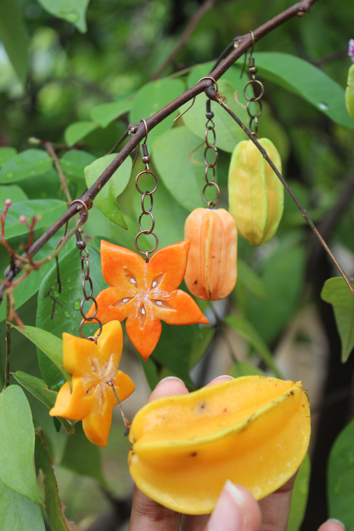 Starfruit Slice