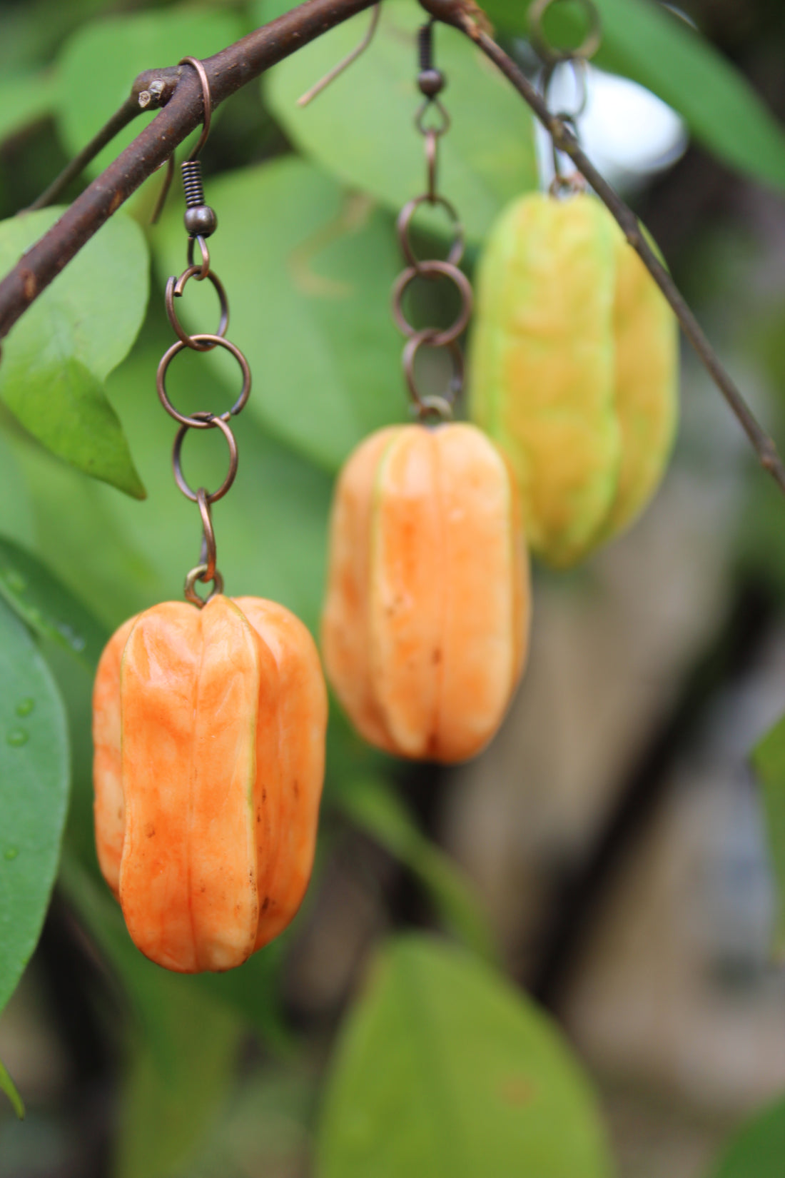 Starfruit