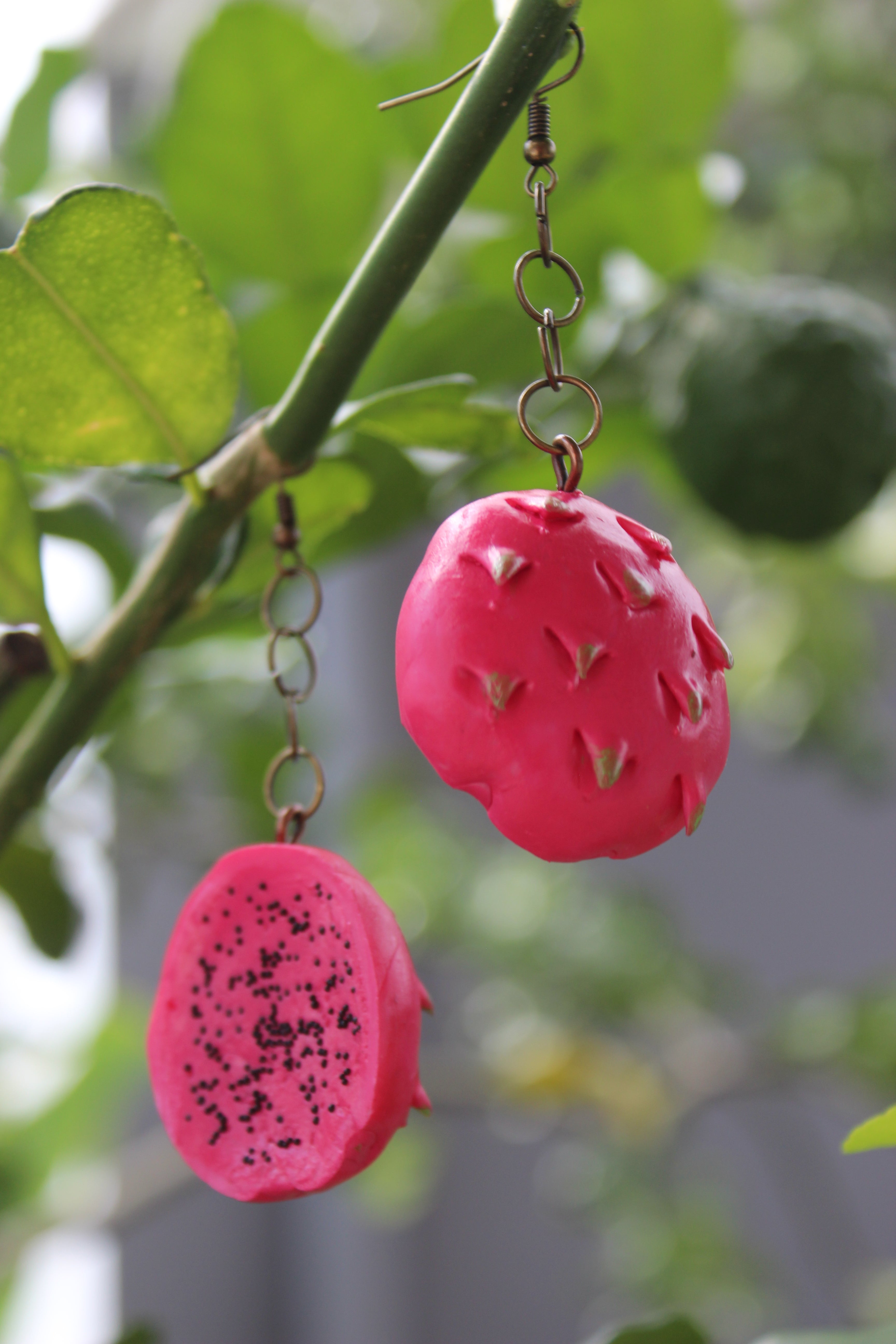 Pink Dragon Fruit Slice