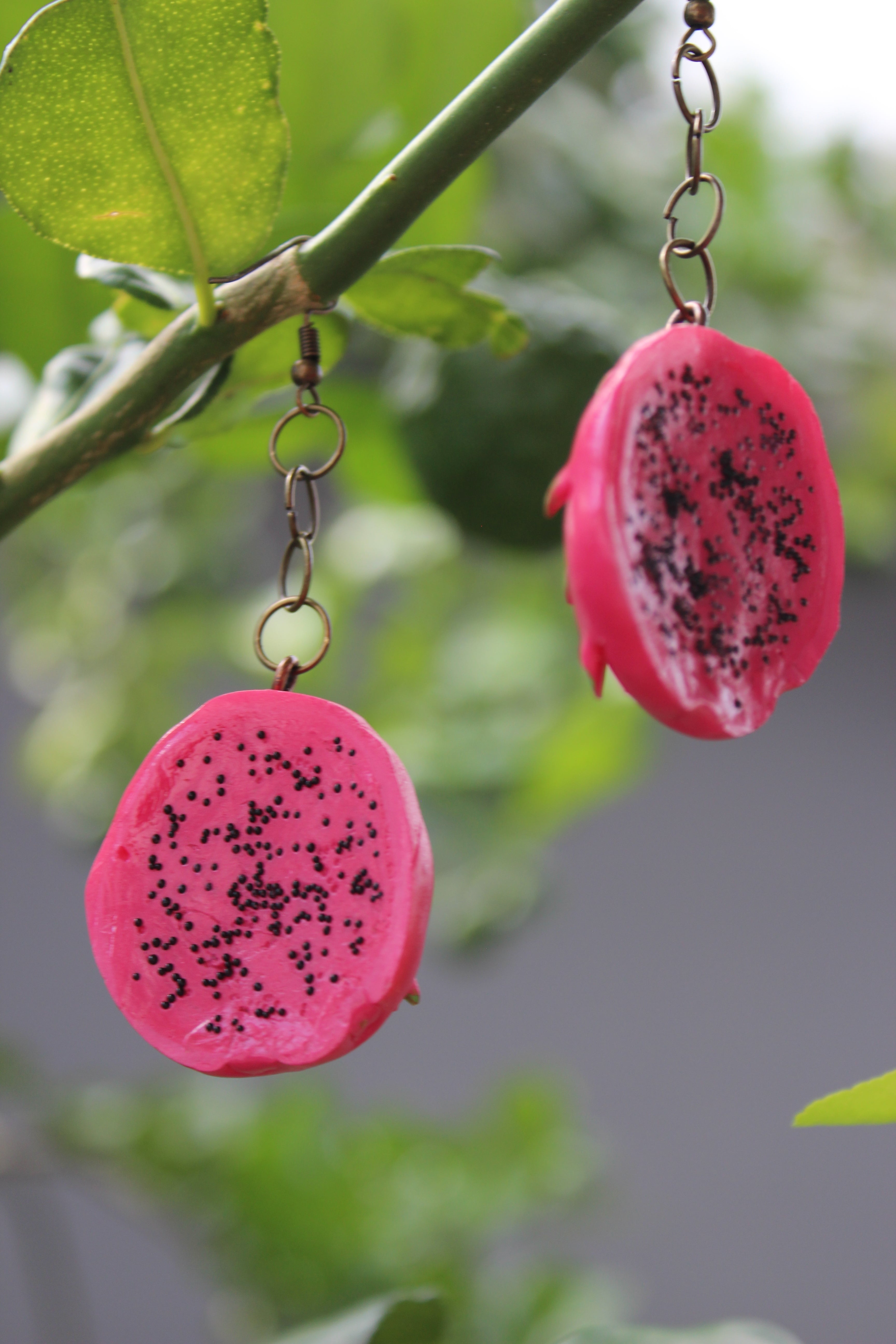 Pink Dragon Fruit Slice