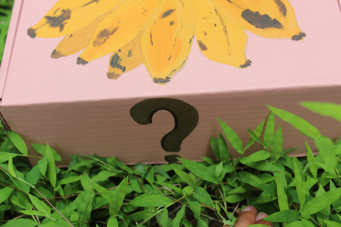 Fruit Mystery Box!?