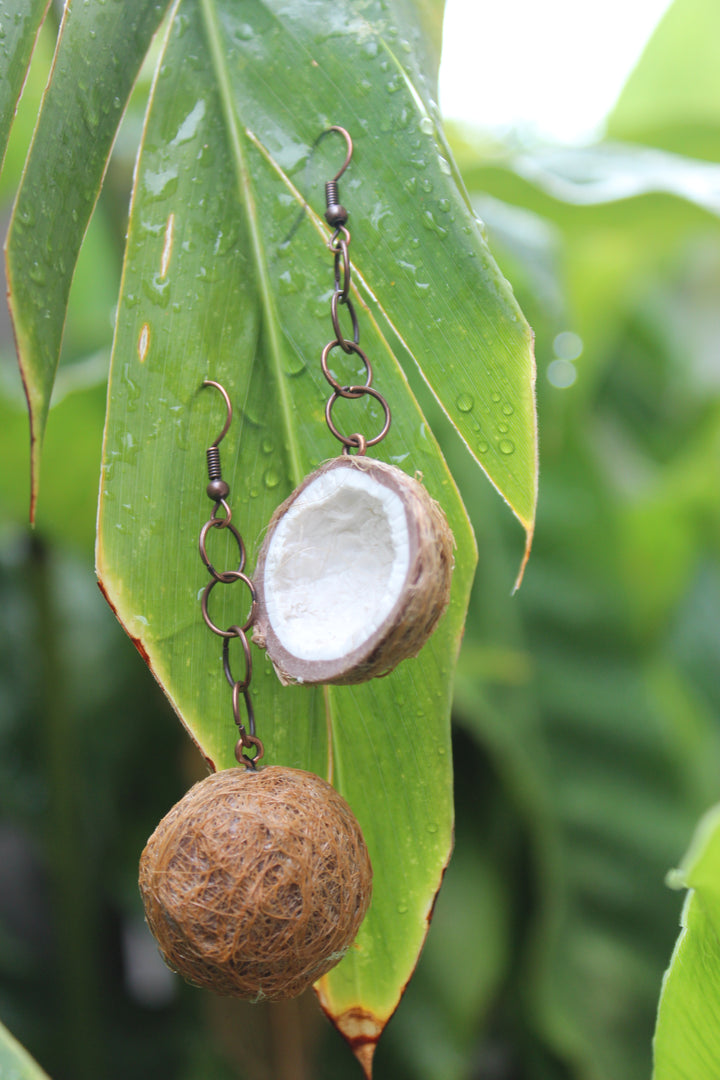 Coconuts
