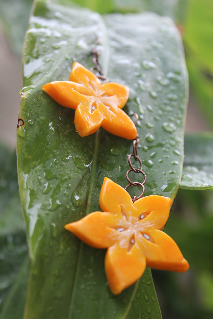 Starfruit Slice