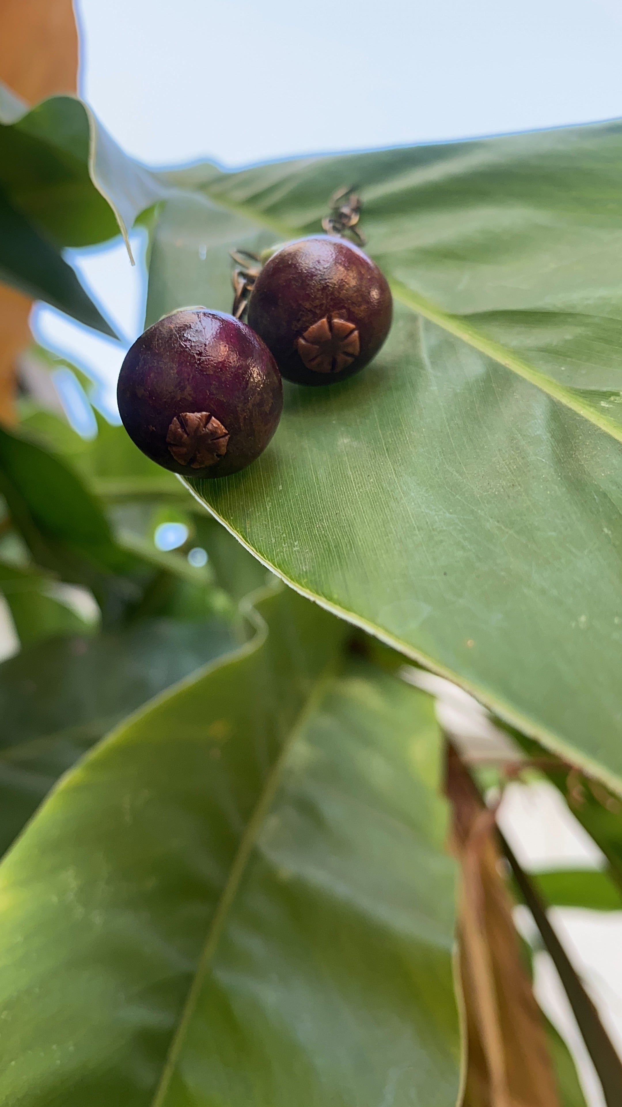 Mangosteen Earrings