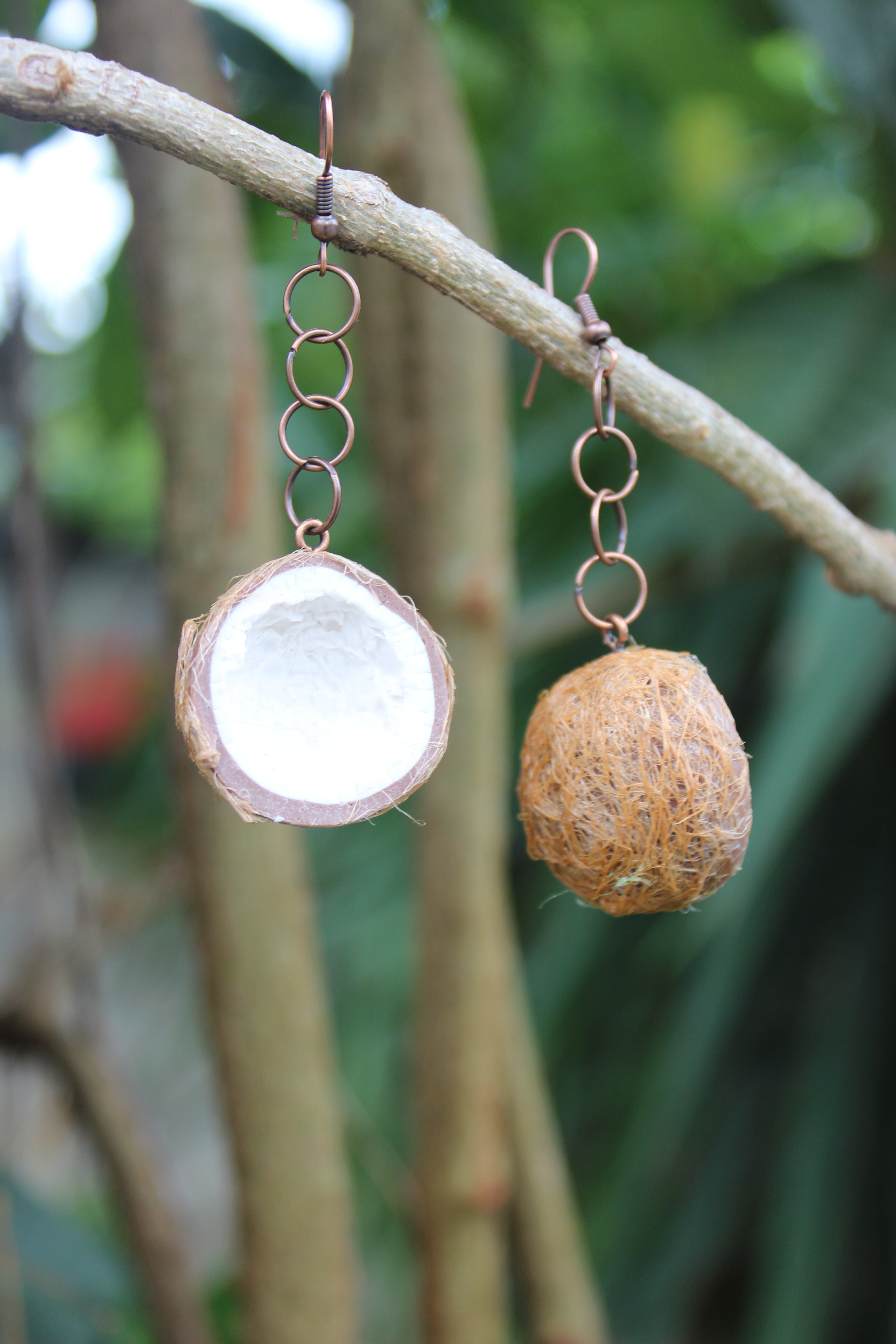 Coconuts