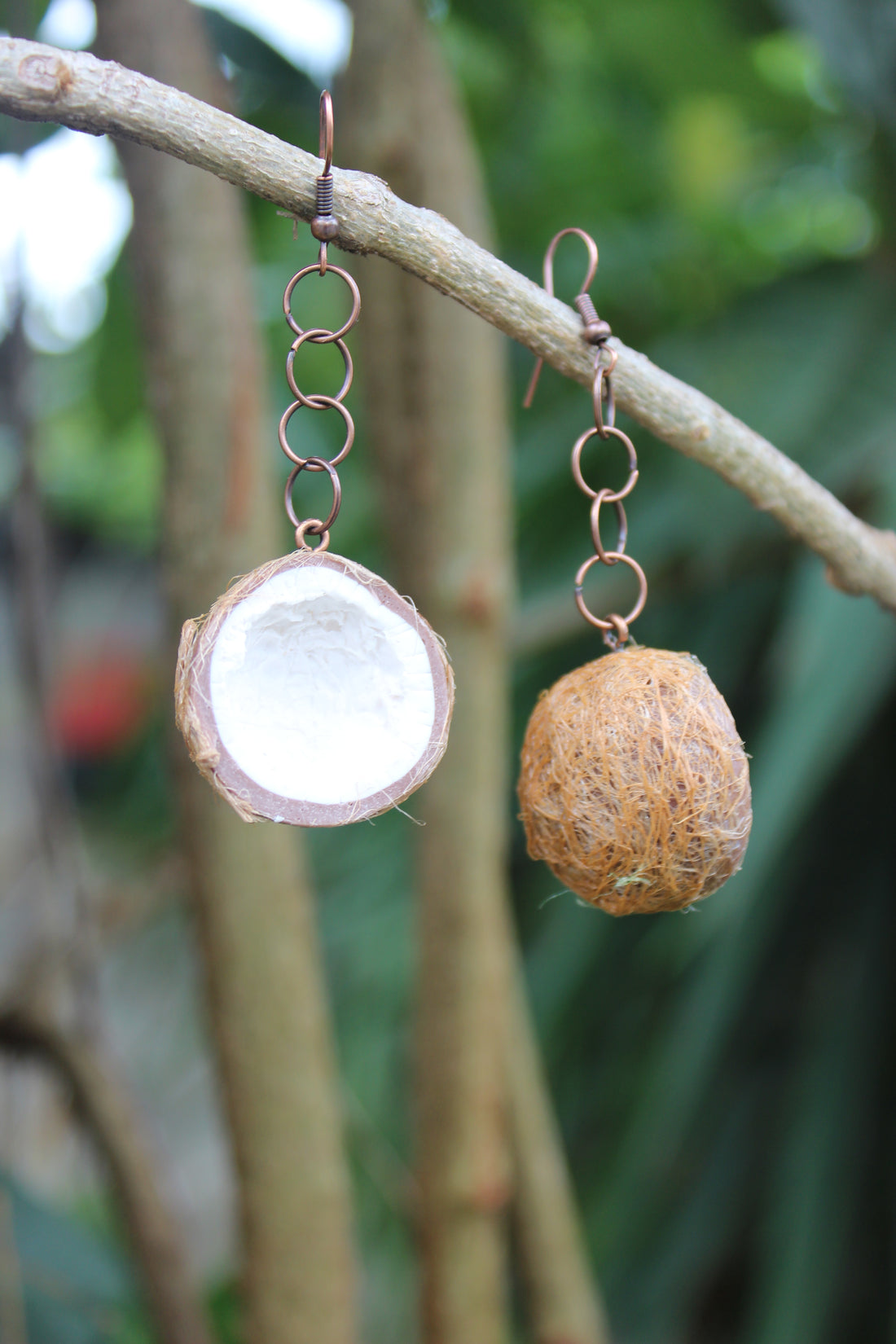 Coconuts