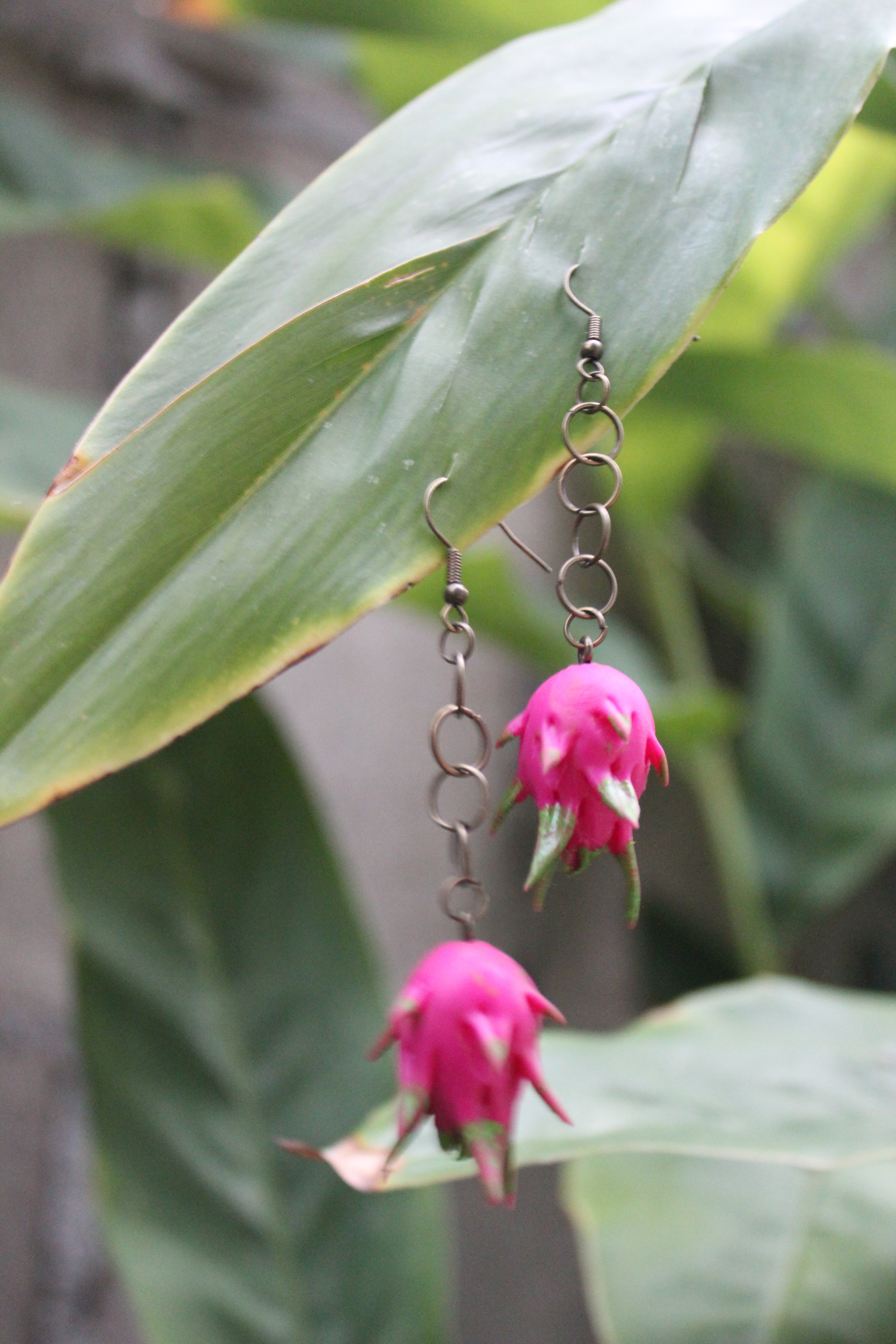 Full Dragon Fruit Earrings