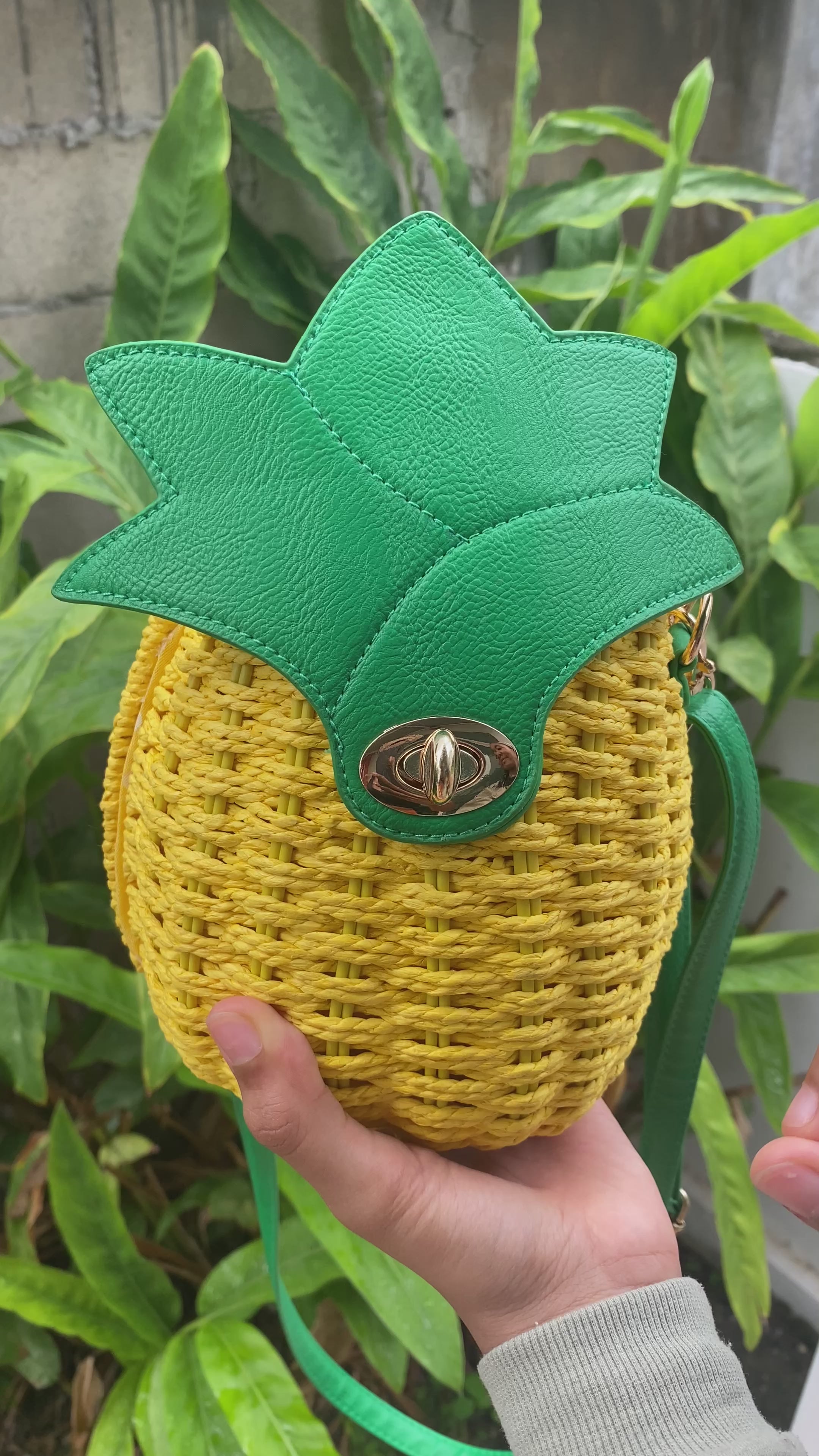 Pineapple bag